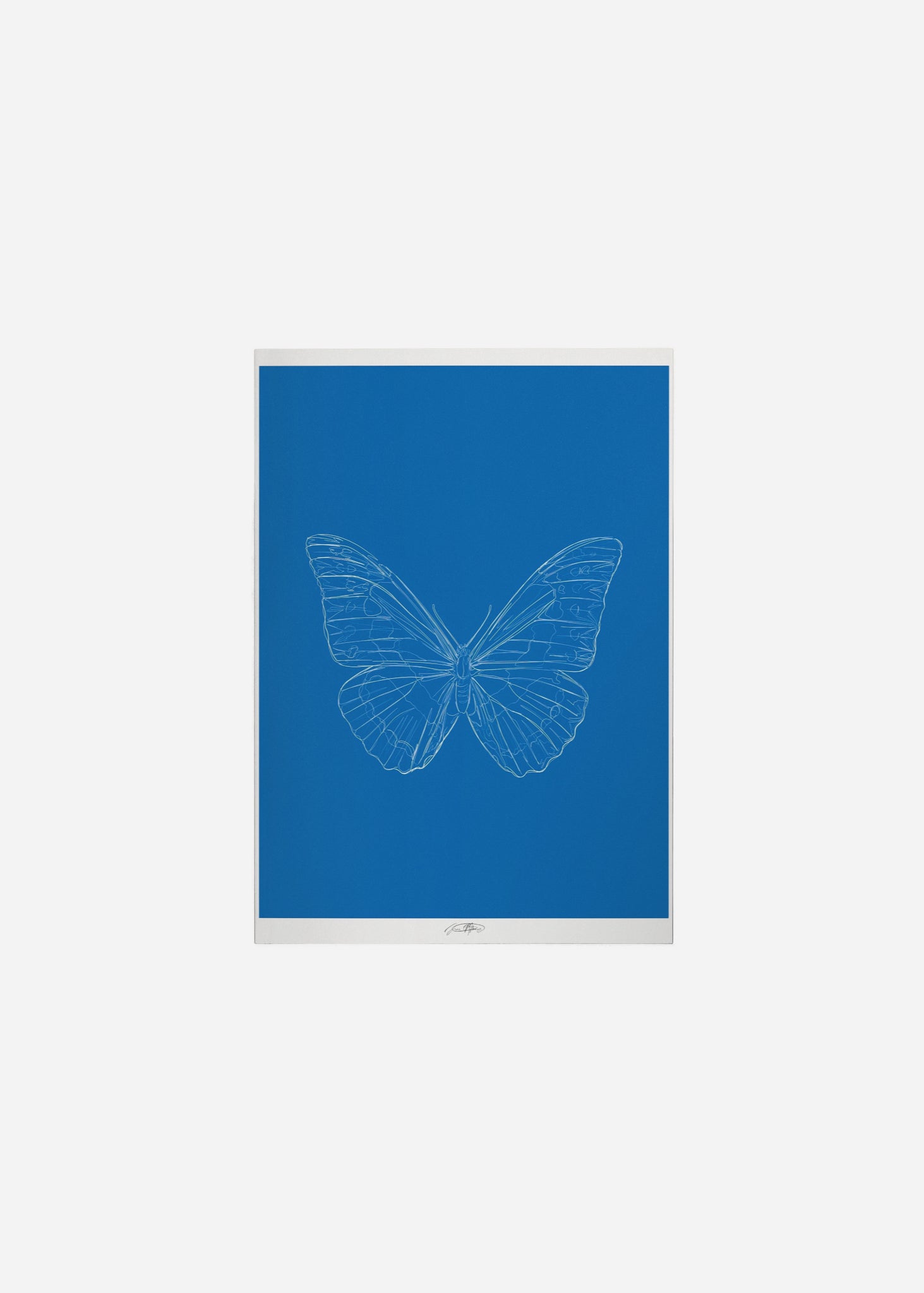 papillon III - blue / line art n.61 Fine Art Print