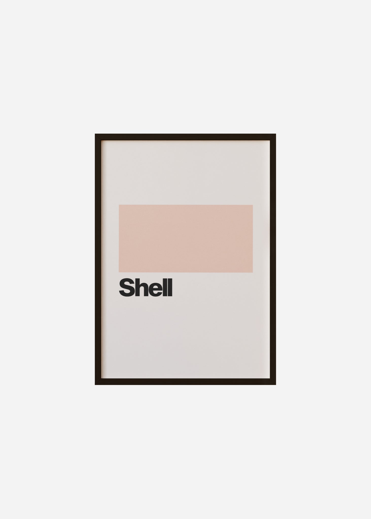 Shell Framed Print