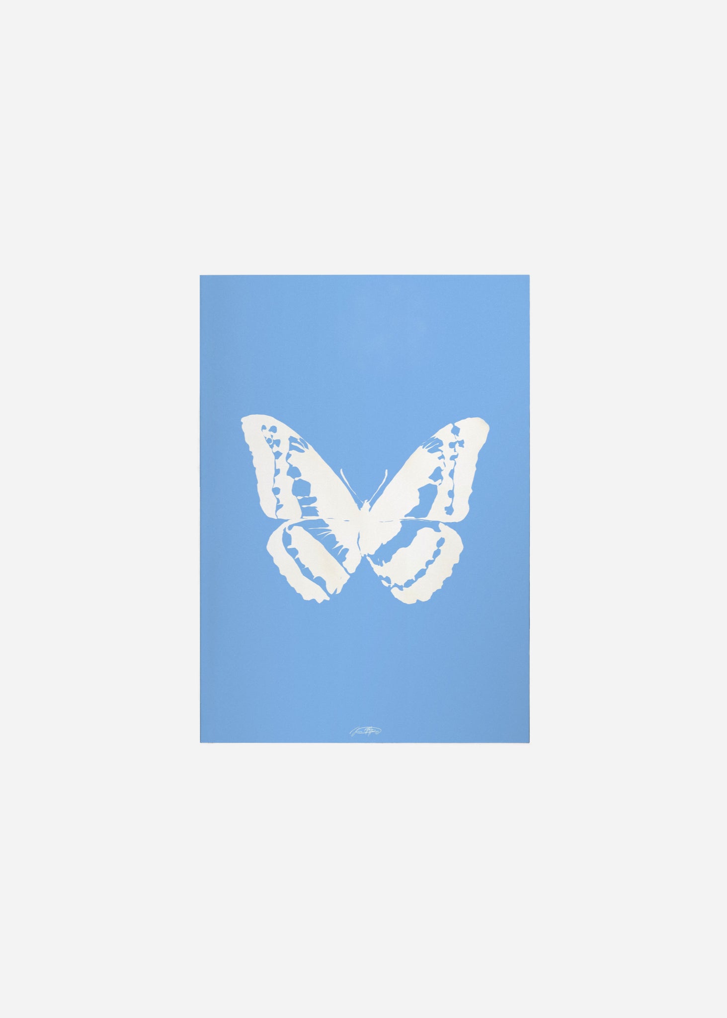 Butterflies / Psyche 013 Fine Art Print