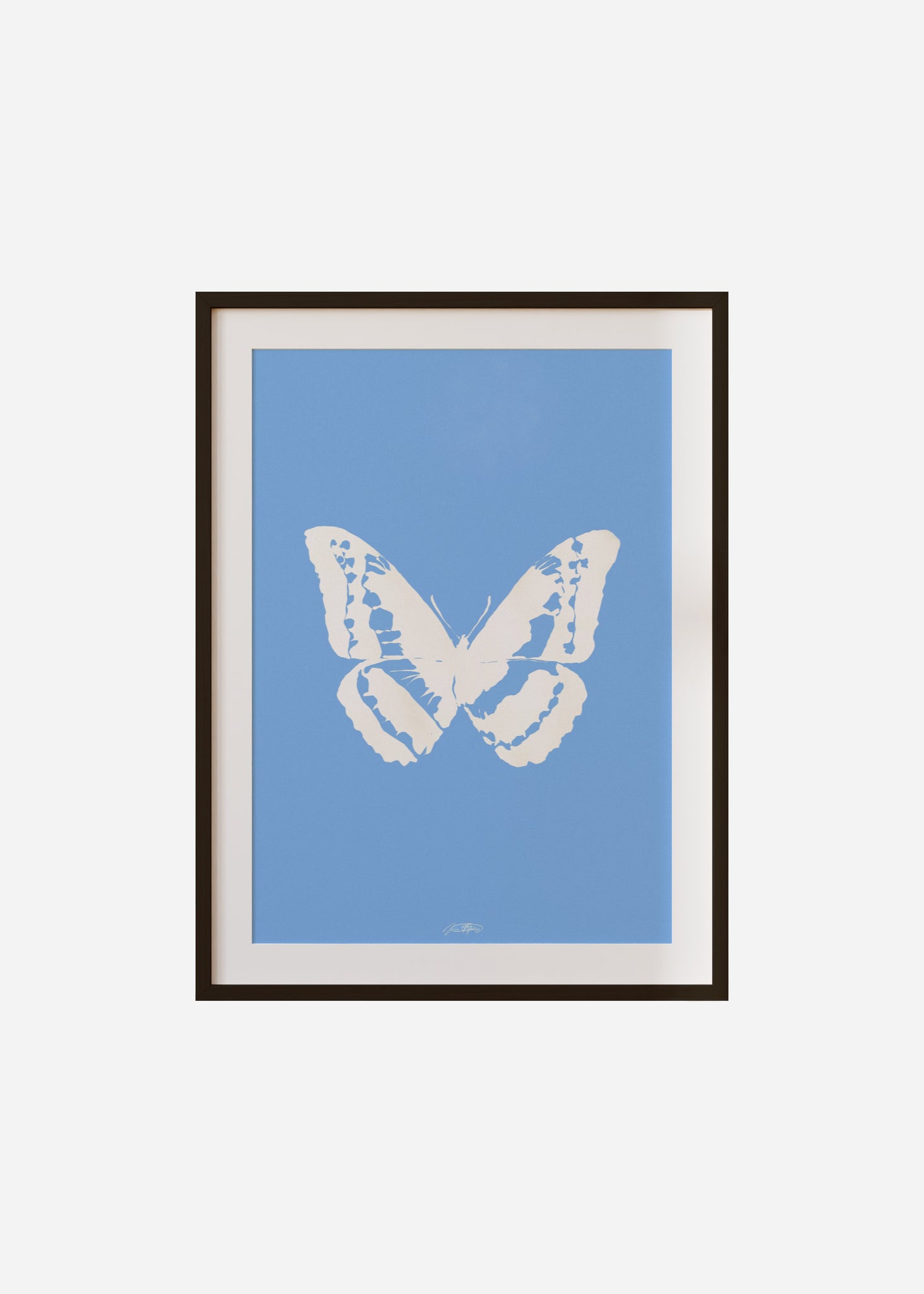 Butterflies / Psyche 013 Framed & Mounted Print