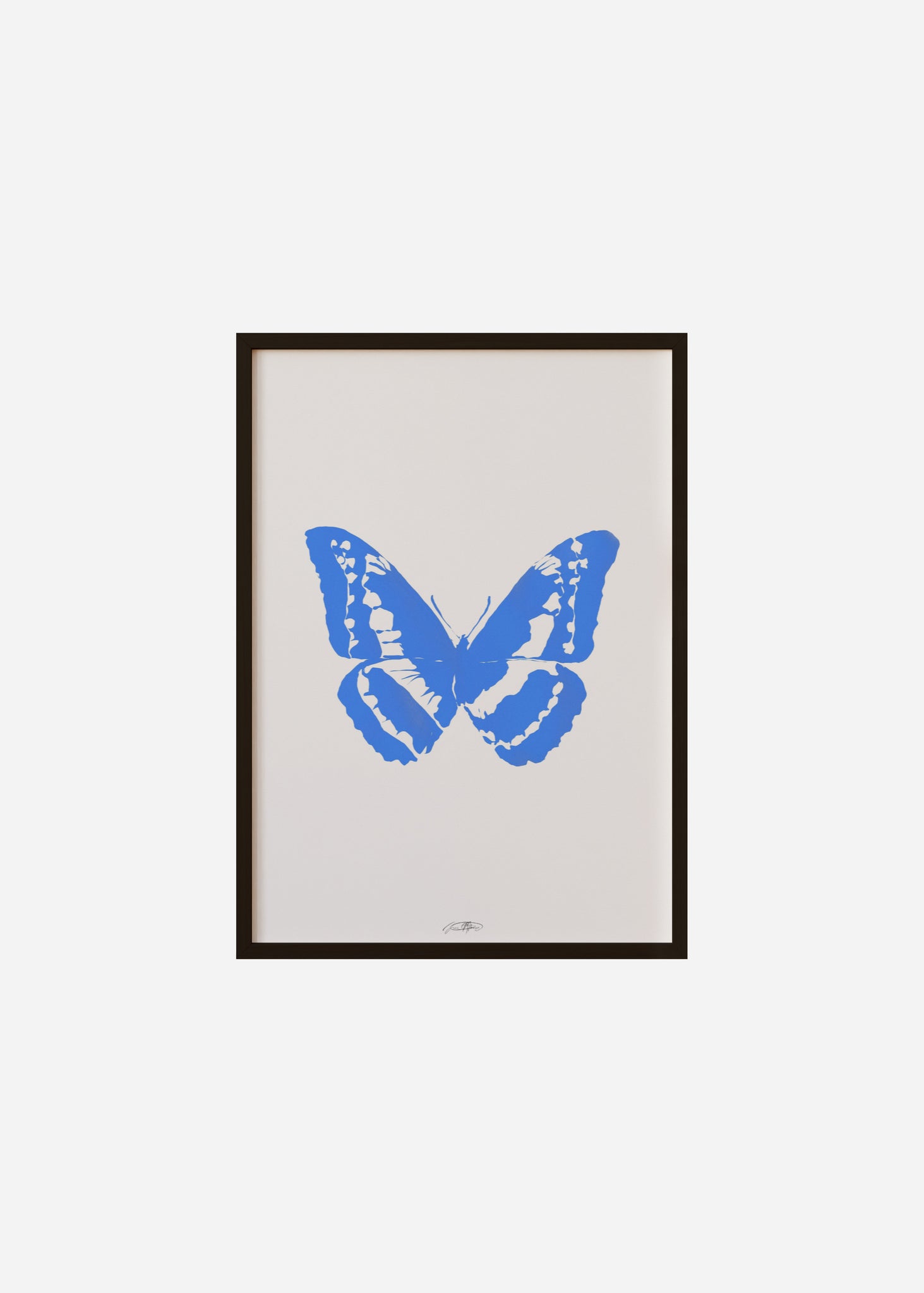 Butterflies / Psyche 014 Framed Print