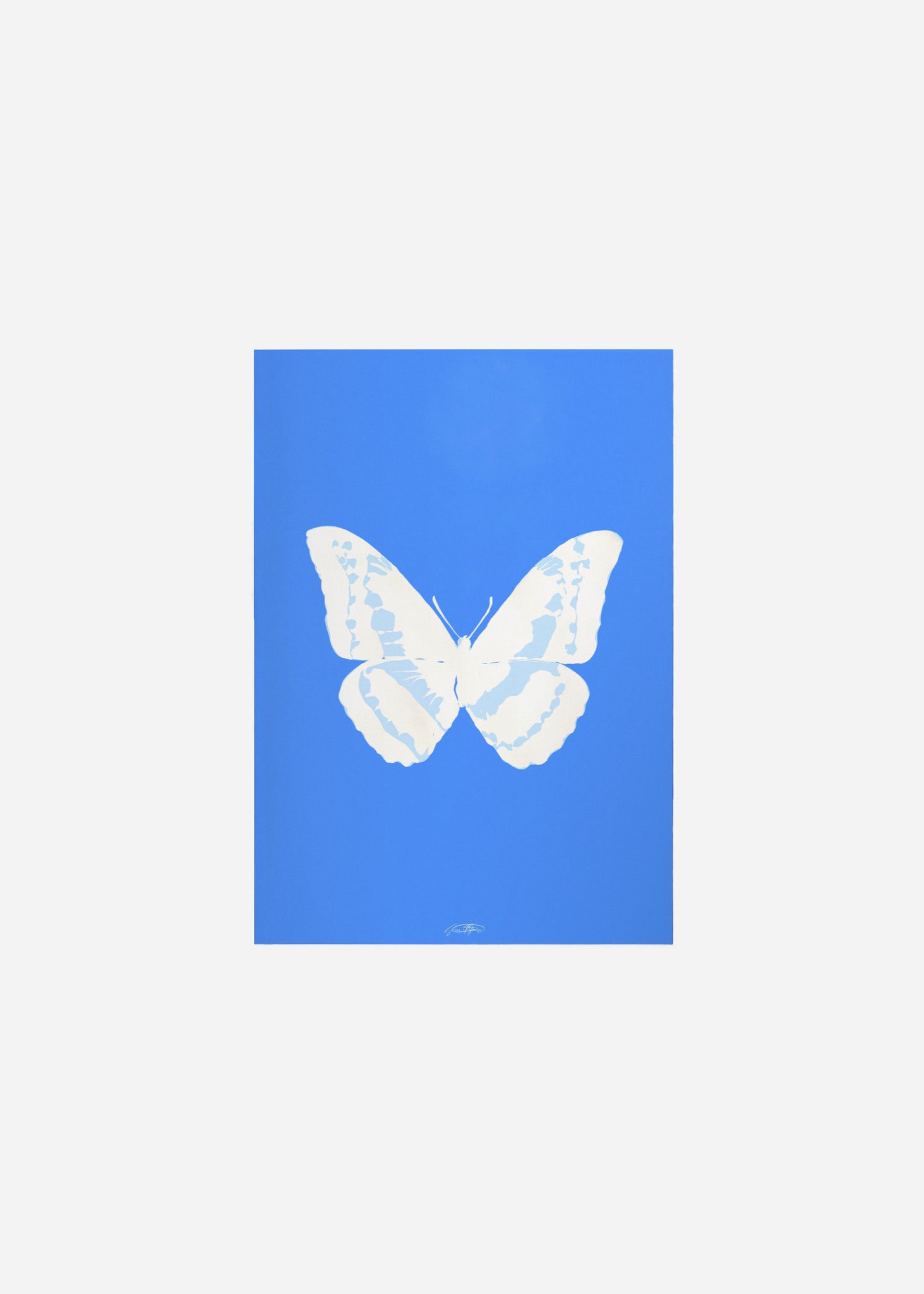 Butterflies / Psyche 015 Fine Art Print