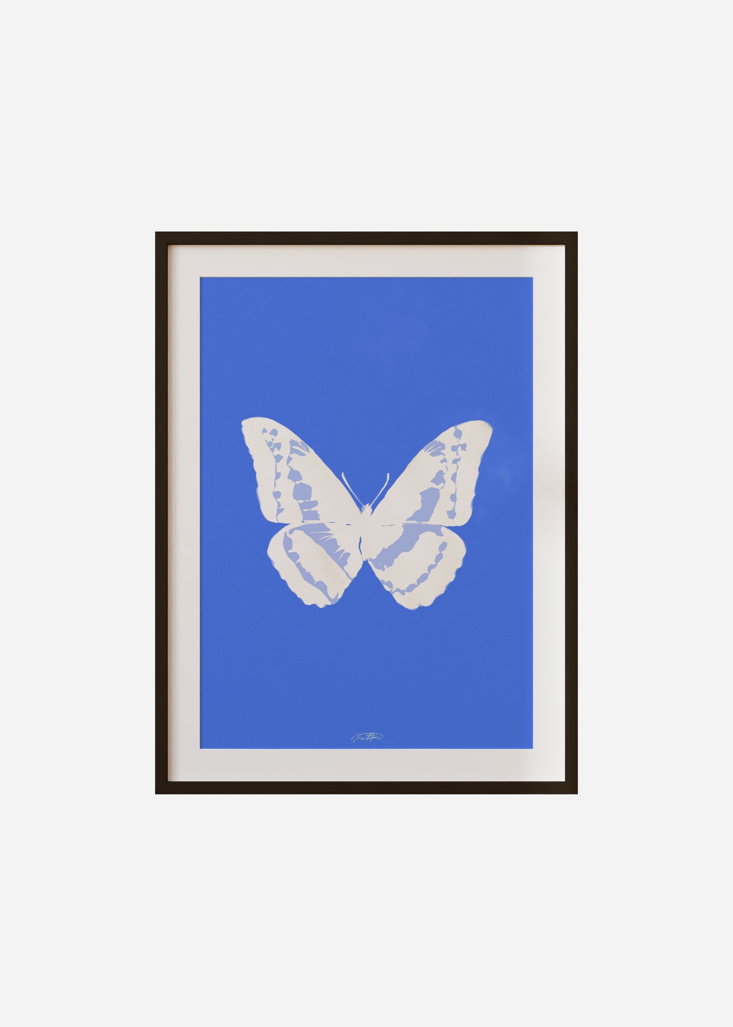 Butterflies / Psyche 023 Framed & Mounted Print