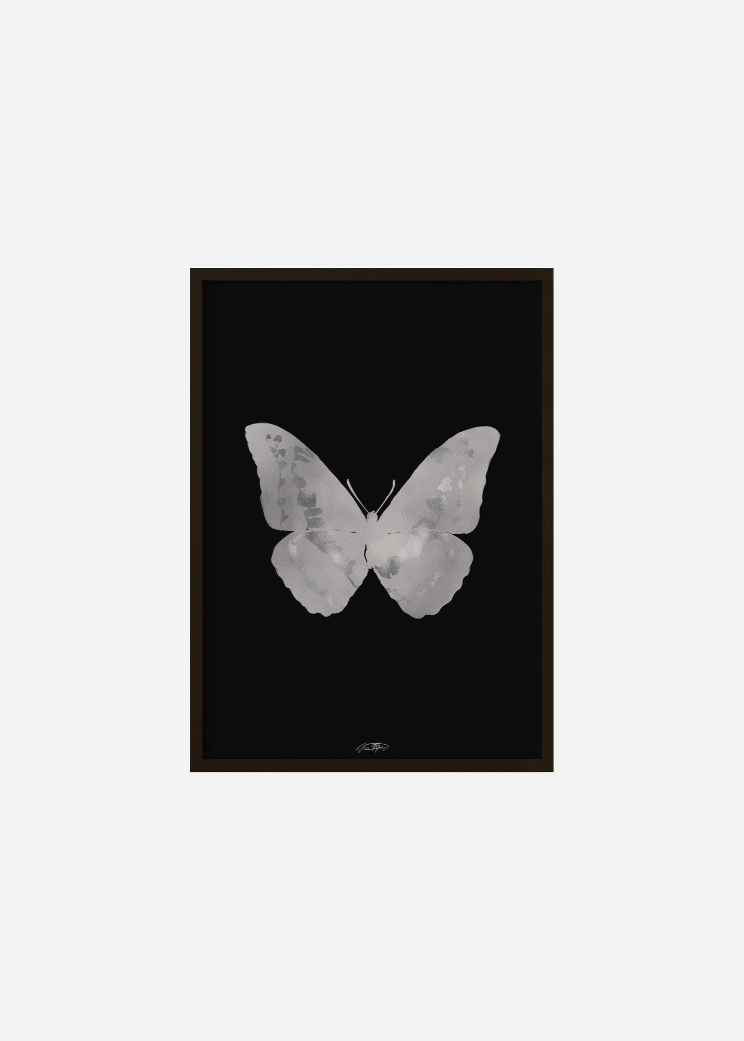 Butterflies / Psyche 024 Framed Print