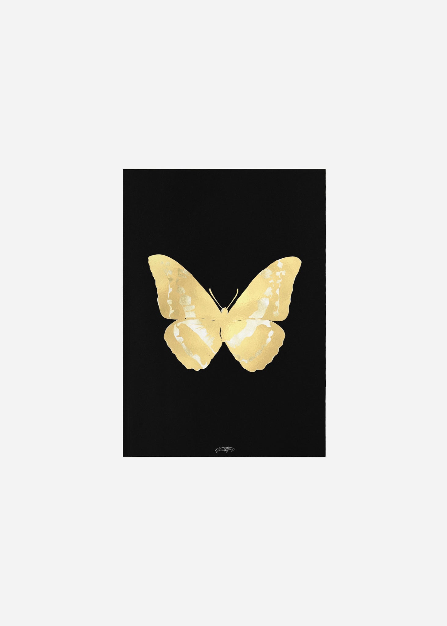 Butterflies / Psyche 025 Fine Art Print