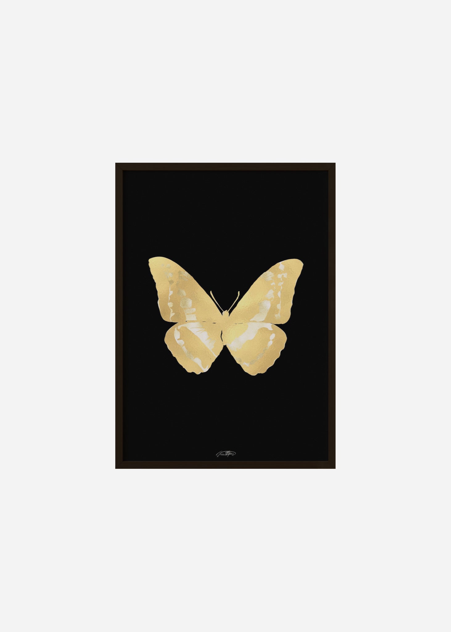 Butterflies / Psyche 025 Framed Print