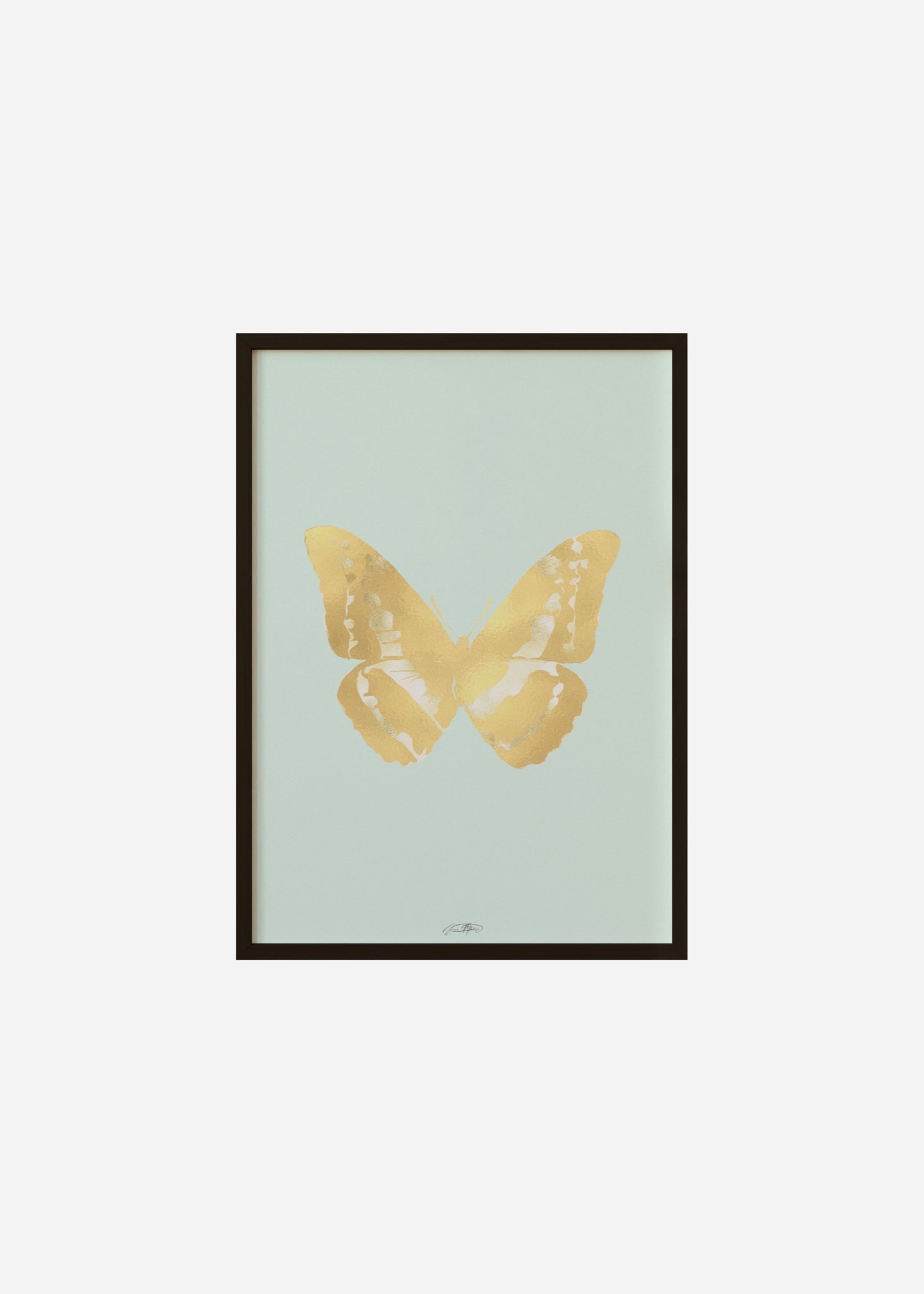 Butterflies / Psyche 027 Framed Print