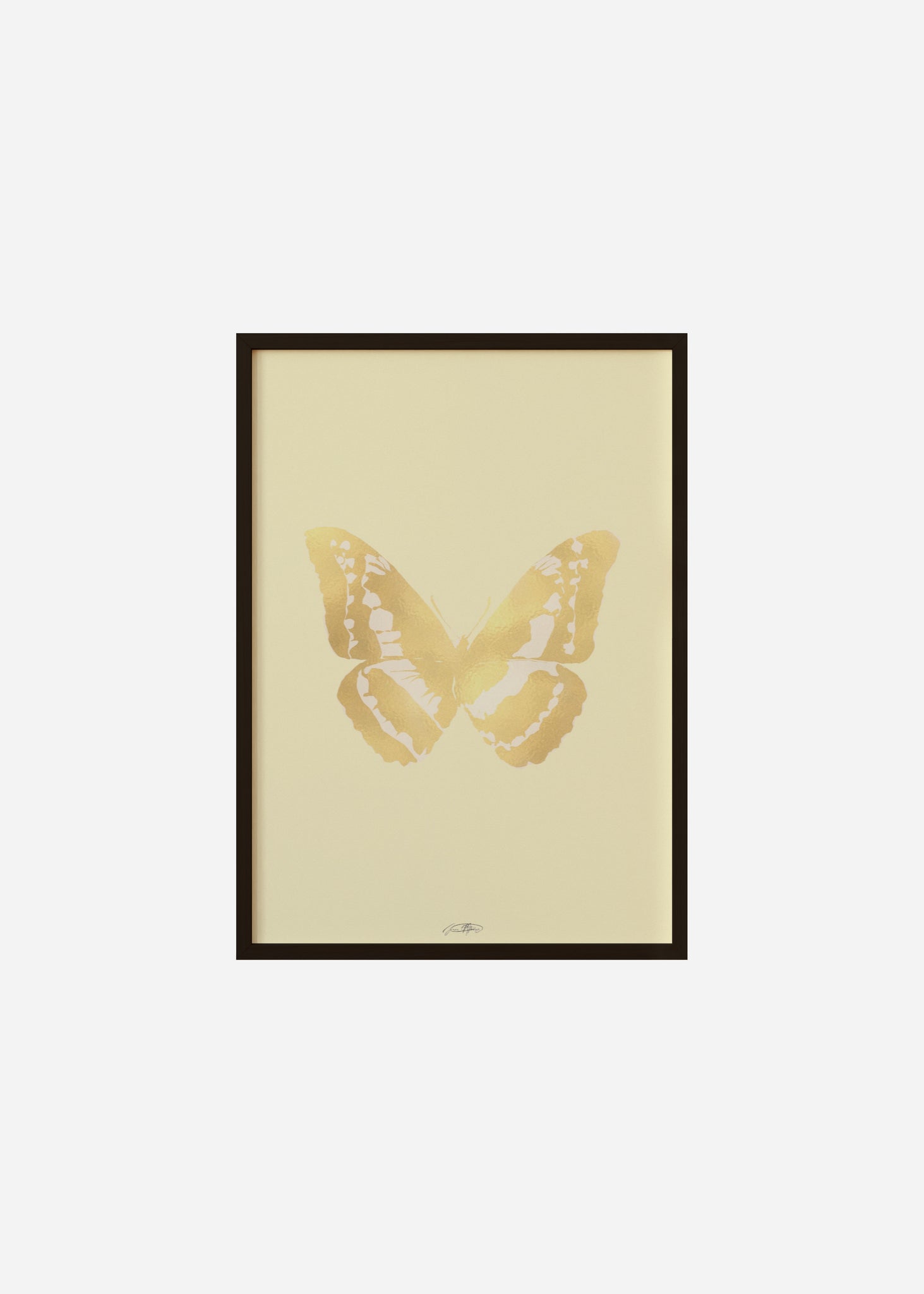 Butterflies / Psyche 029 Framed Print