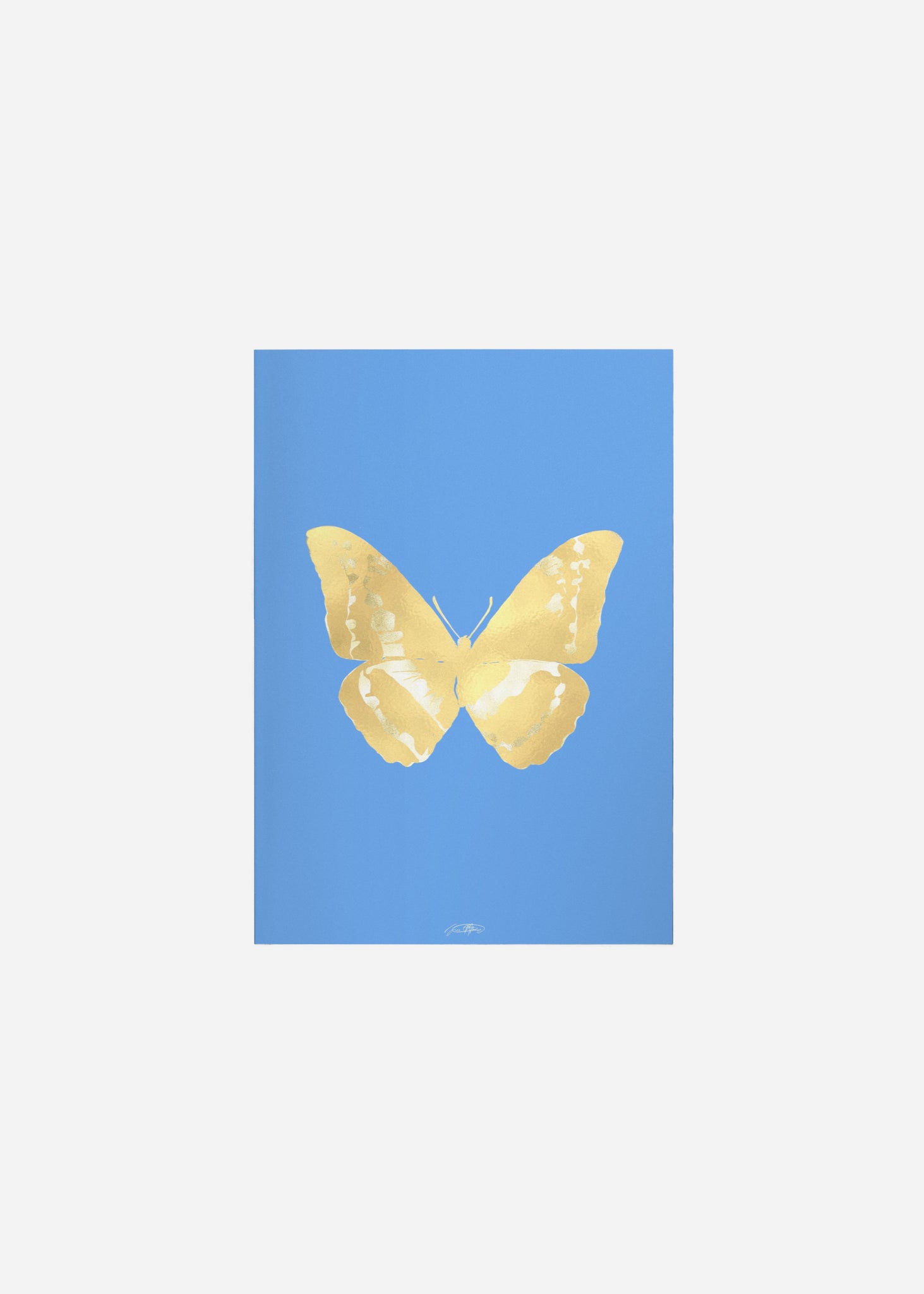 Butterflies / Psyche 031 Fine Art Print