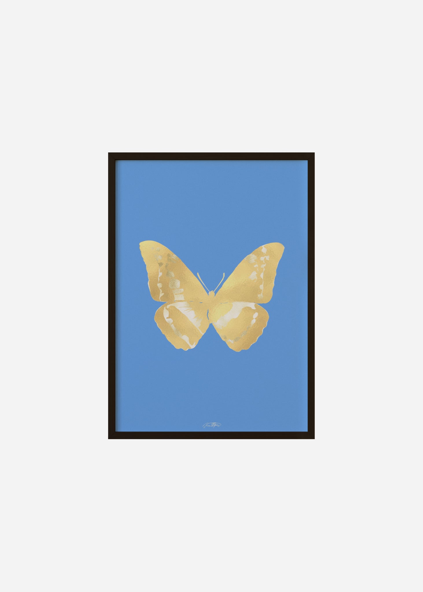 Butterflies / Psyche 031 Framed Print
