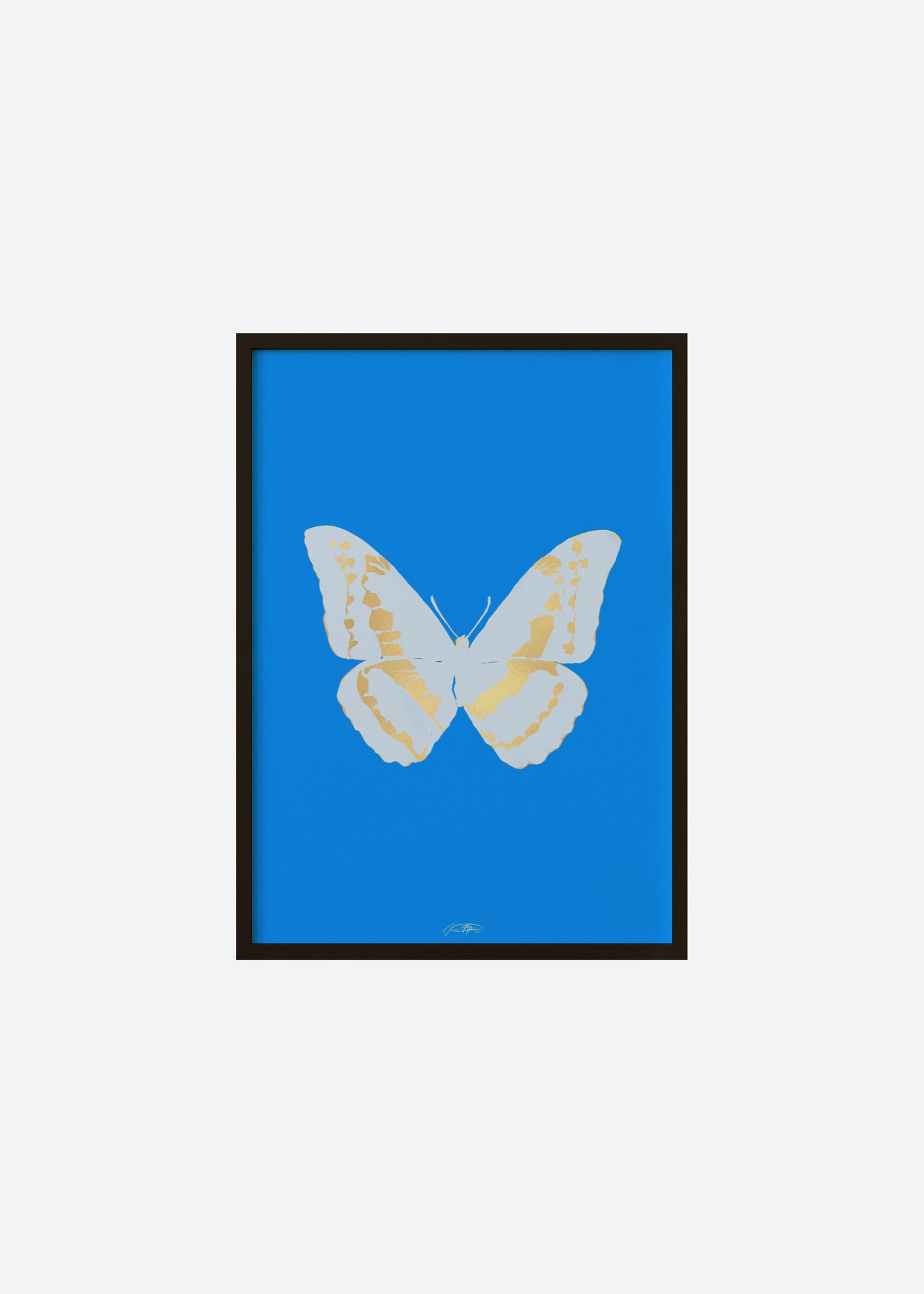 Butterflies / Psyche 033 Framed Print