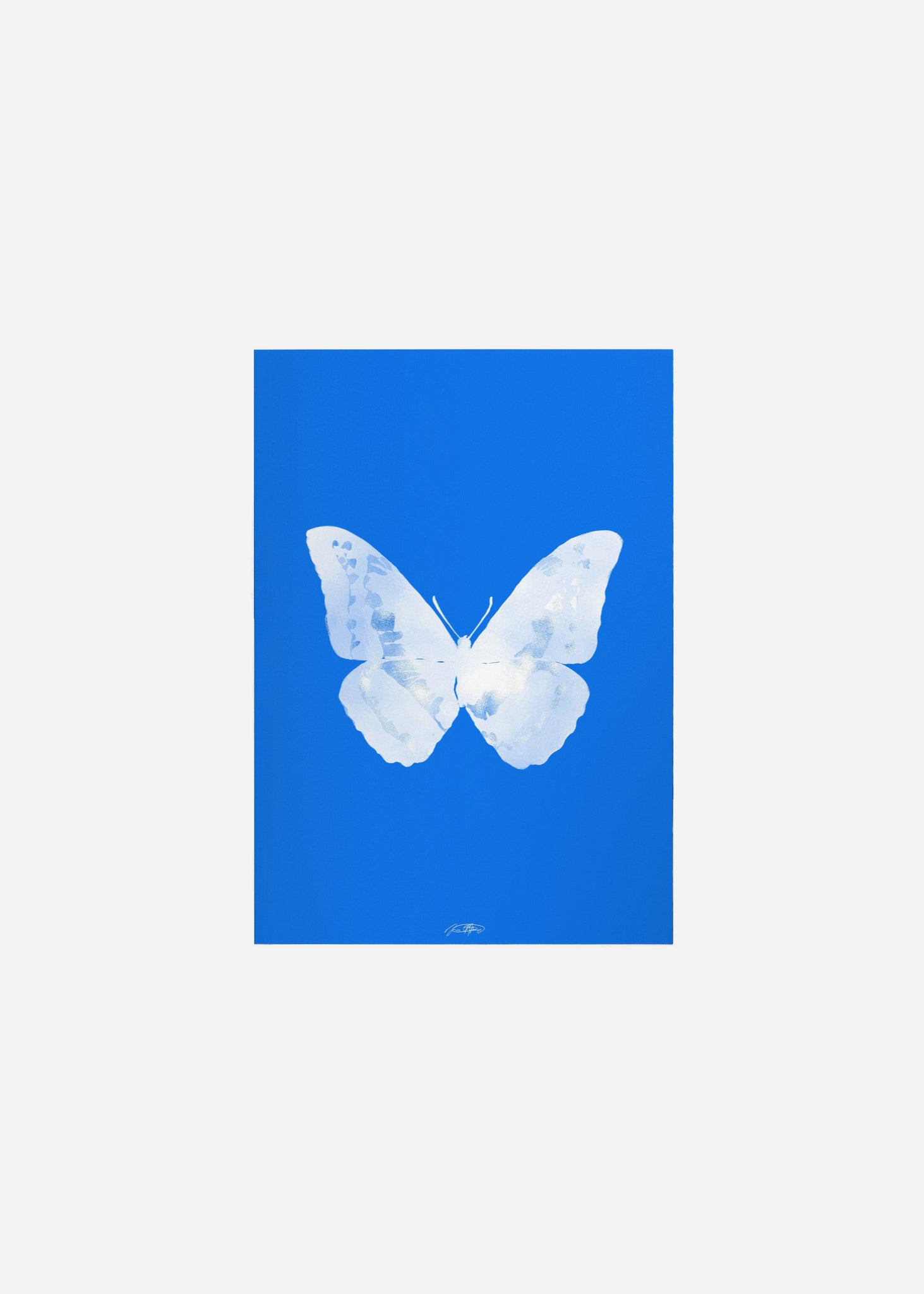 Butterflies / Psyche 036 Fine Art Print