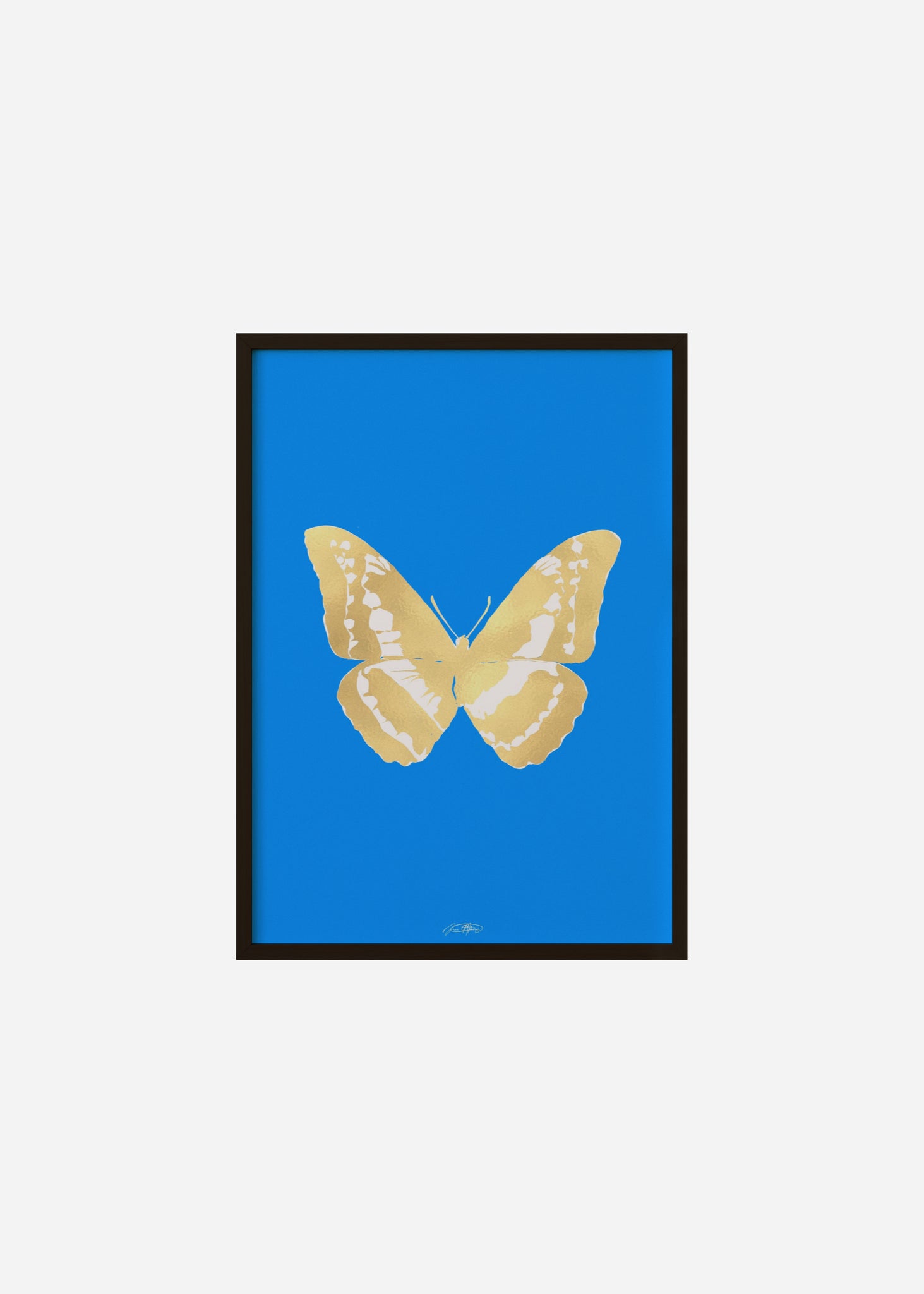 Butterflies / Psyche 041 Framed Print