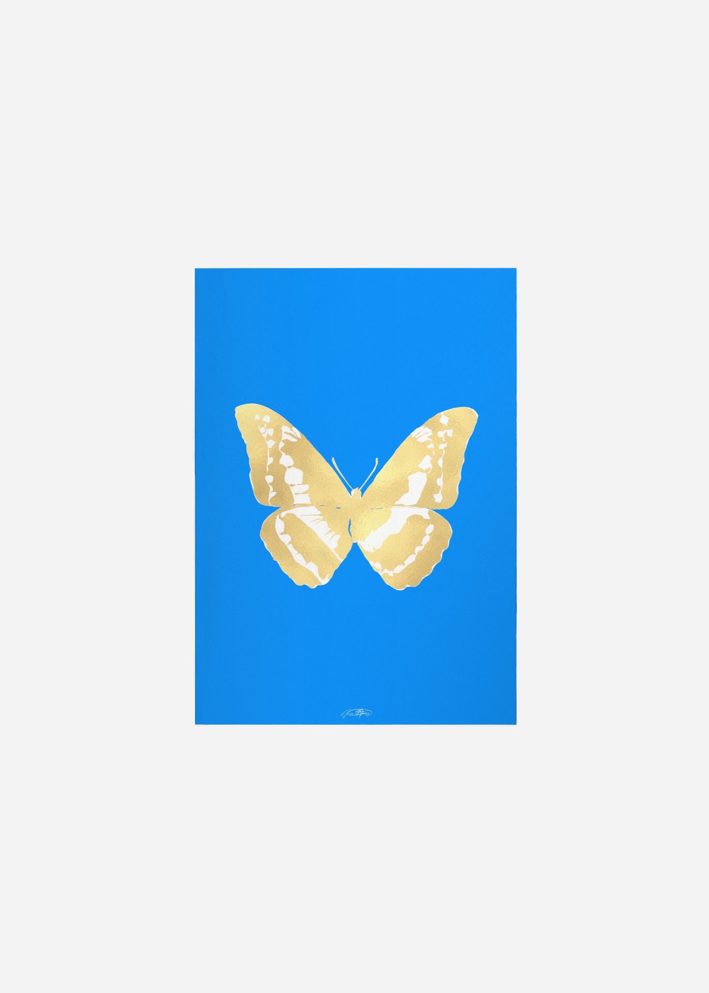 Butterflies / Psyche 041 Fine Art Print