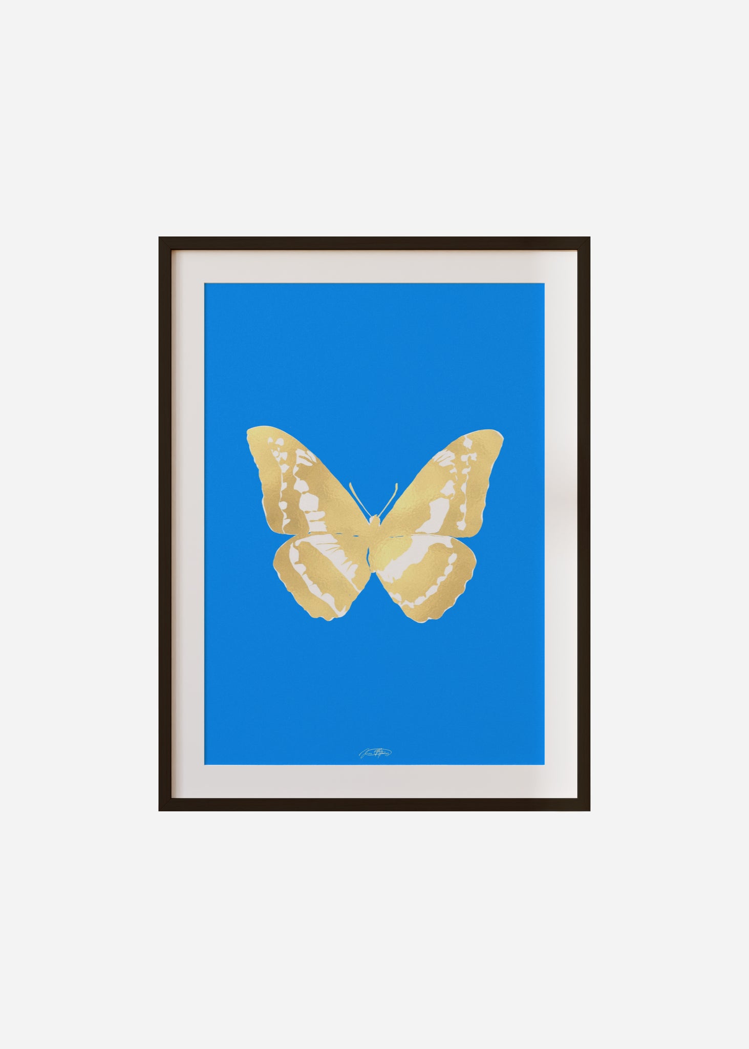 Butterflies / Psyche 041 Framed & Mounted Print