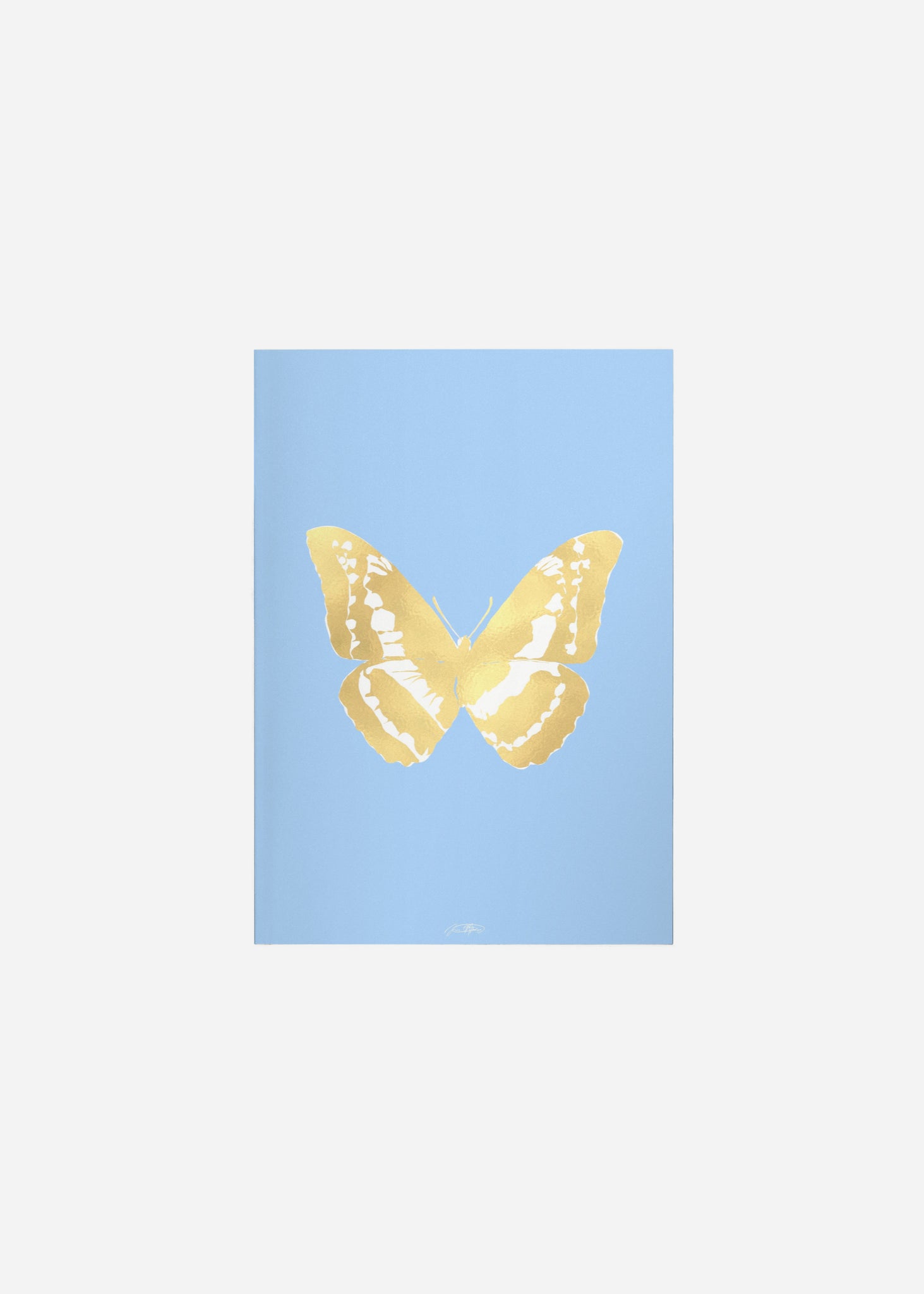 Butterflies / Psyche 042 Fine Art Print