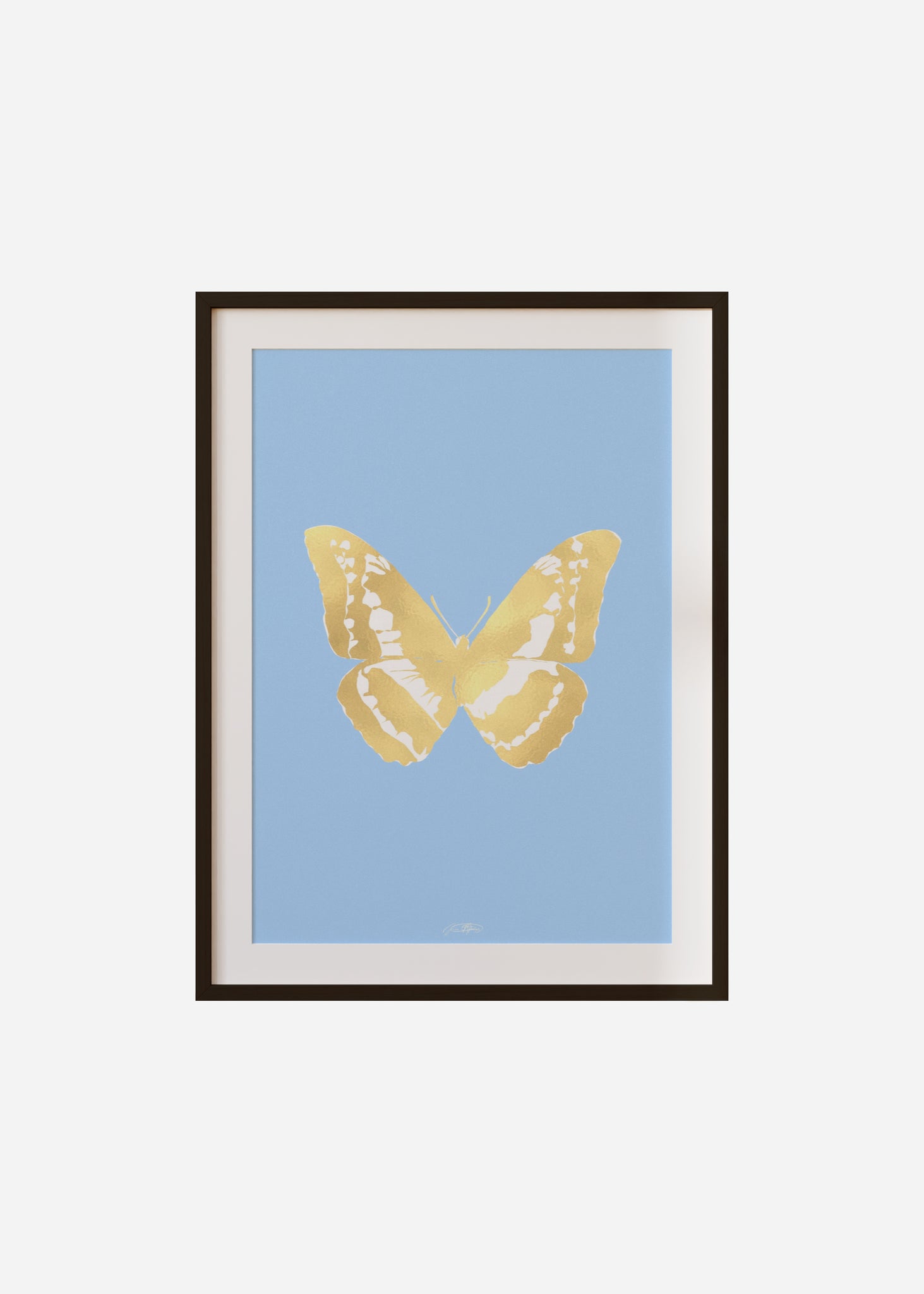 Butterflies / Psyche 042 Framed & Mounted Print