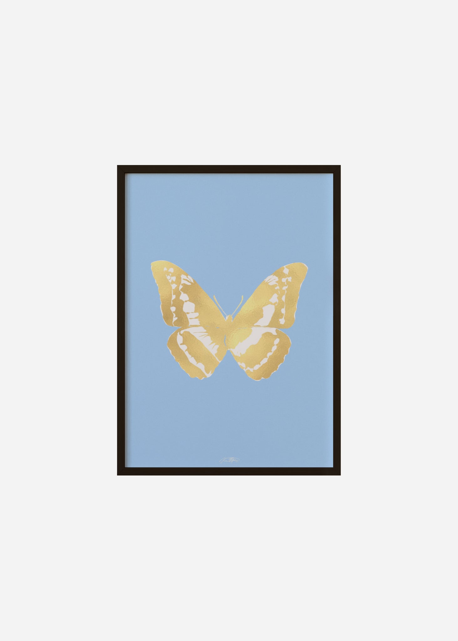 Butterflies / Psyche 042 Framed Print