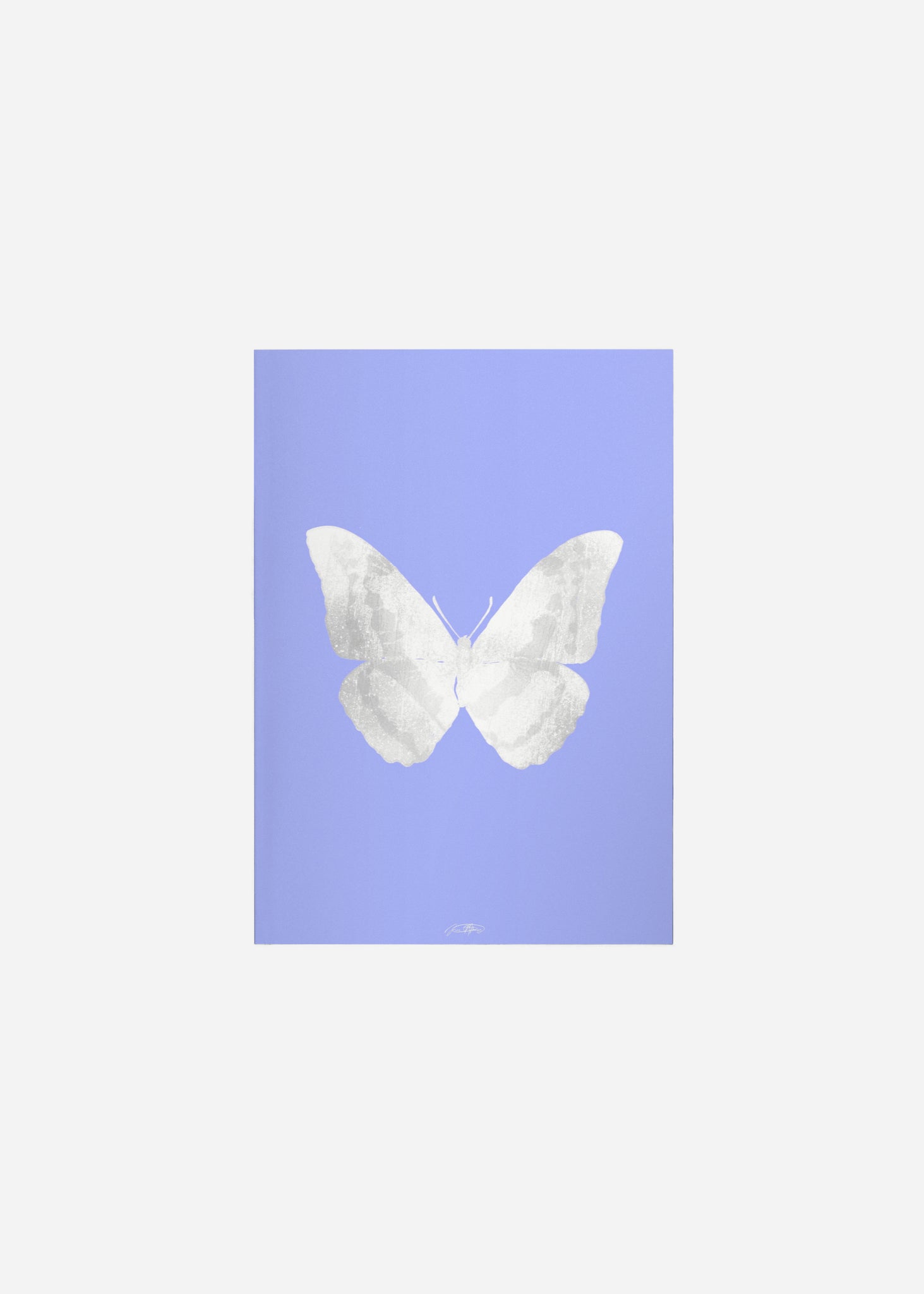 Butterflies / Psyche 044 Fine Art Print