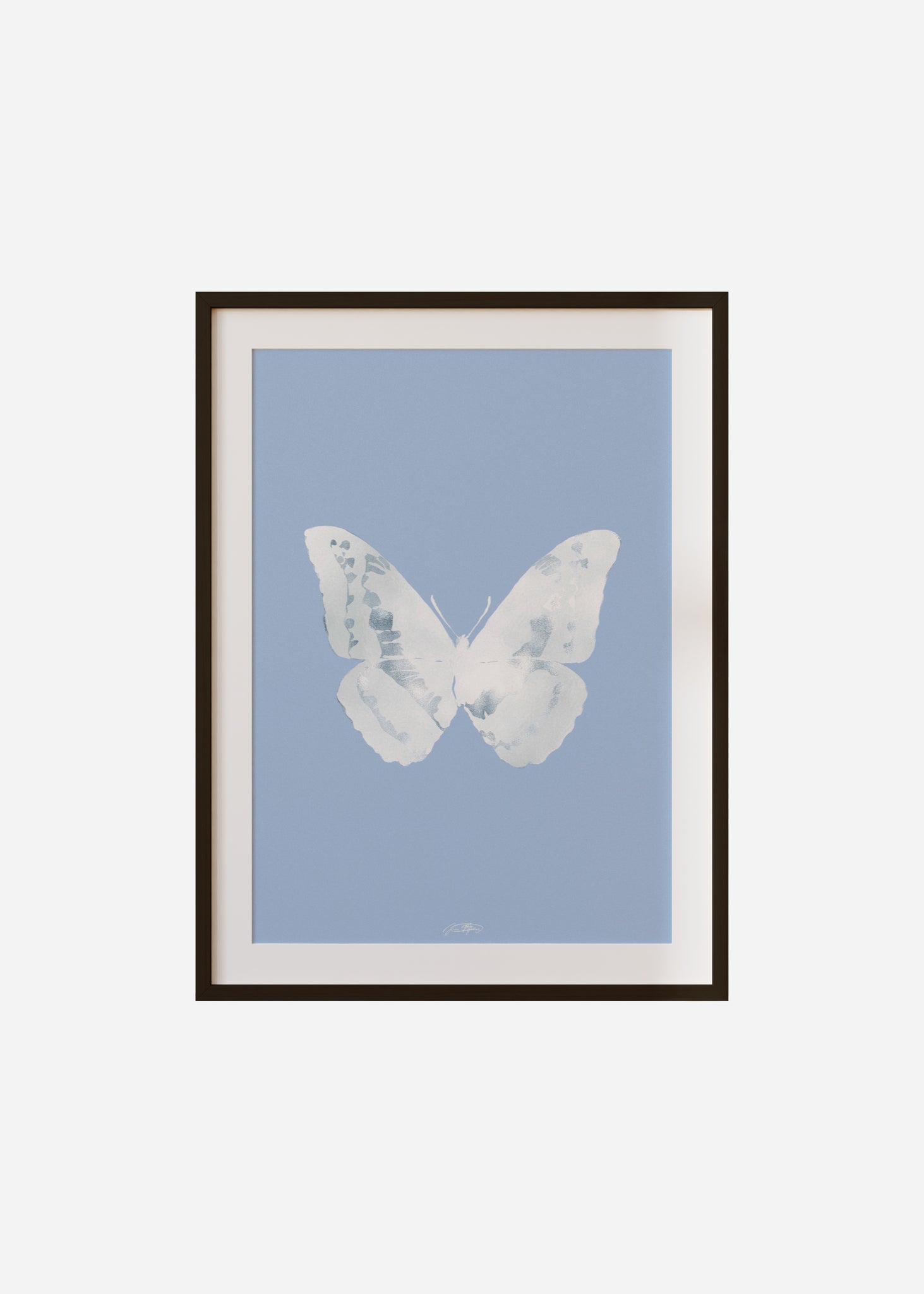 Butterflies / Psyche 045 Framed & Mounted Print