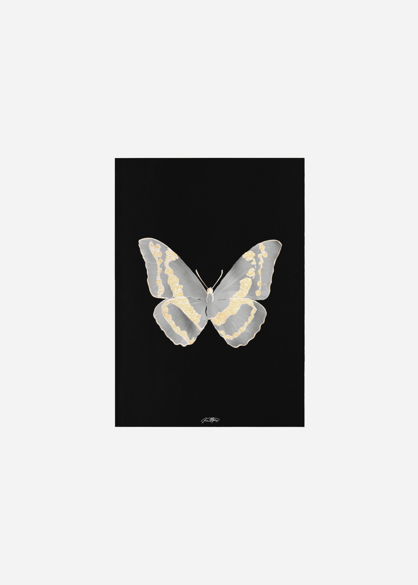 Butterflies / Psyche 049 Fine Art Print