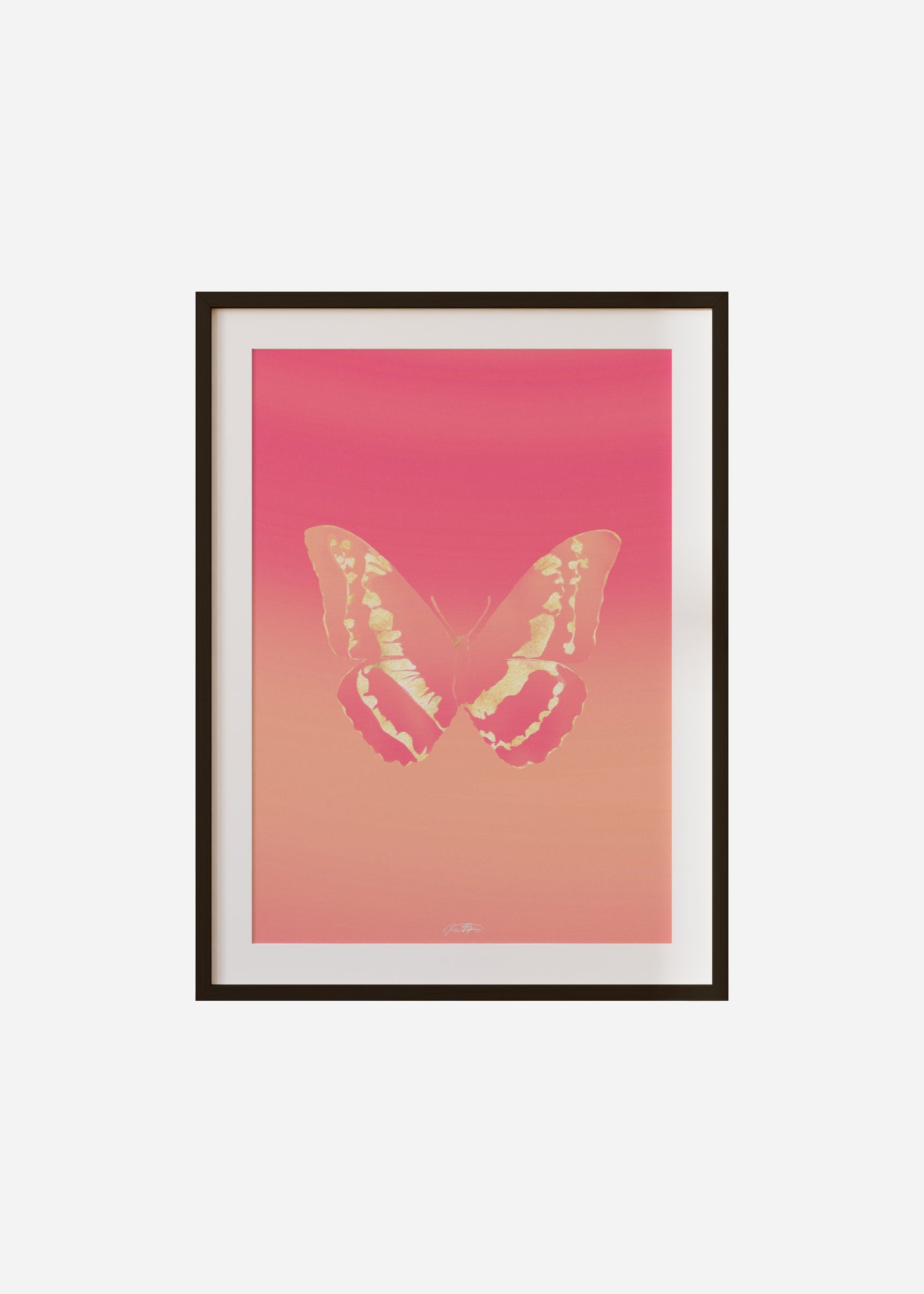 Butterflies / Psyche 056 Framed & Mounted Print