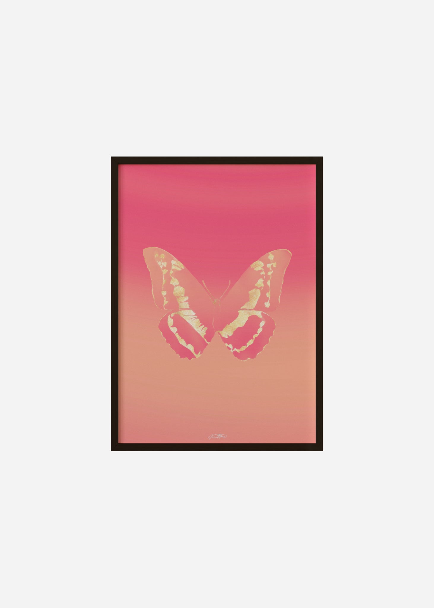 Butterflies / Psyche 056 Framed Print