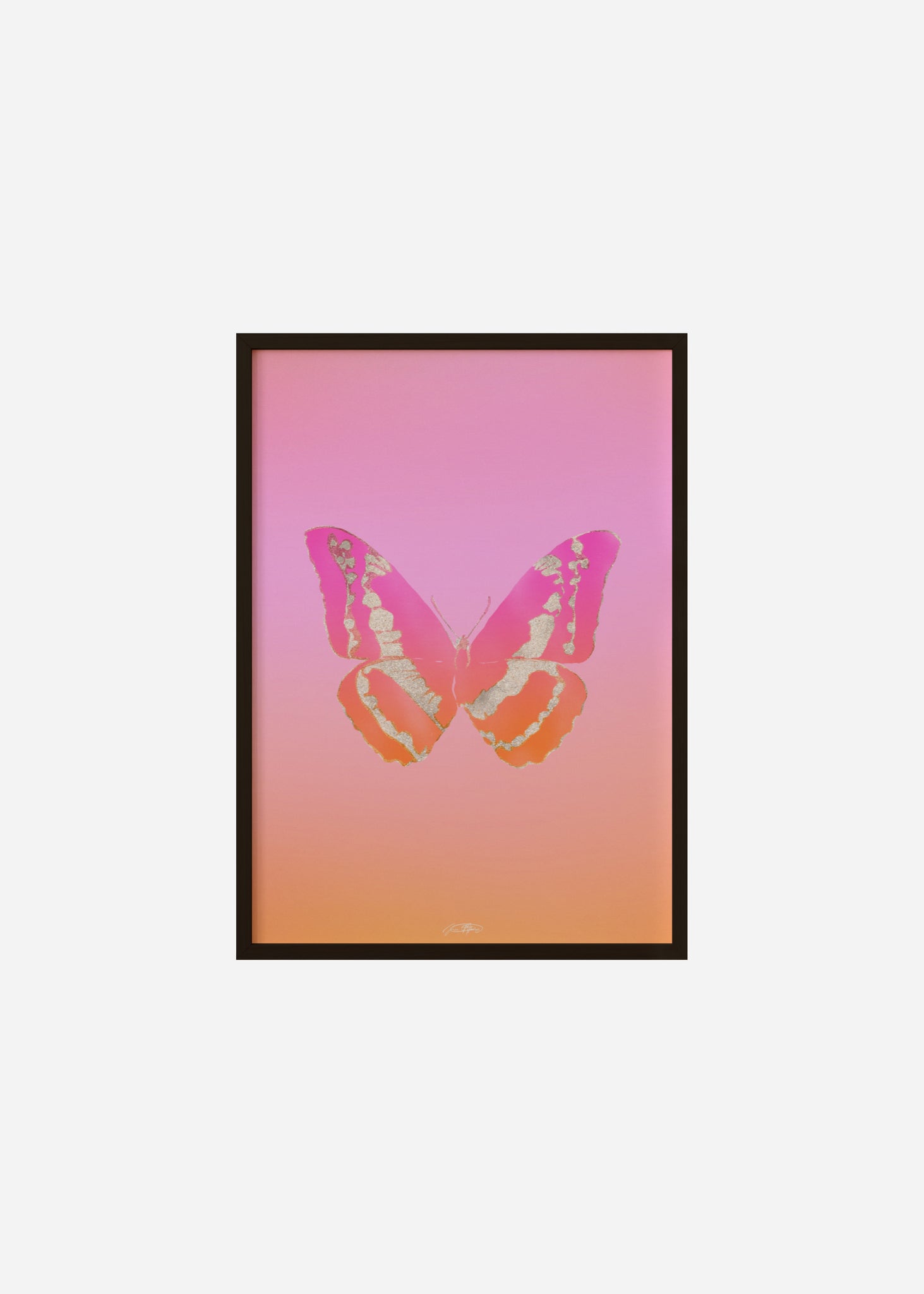 Butterflies / Psyche 058 Framed Print