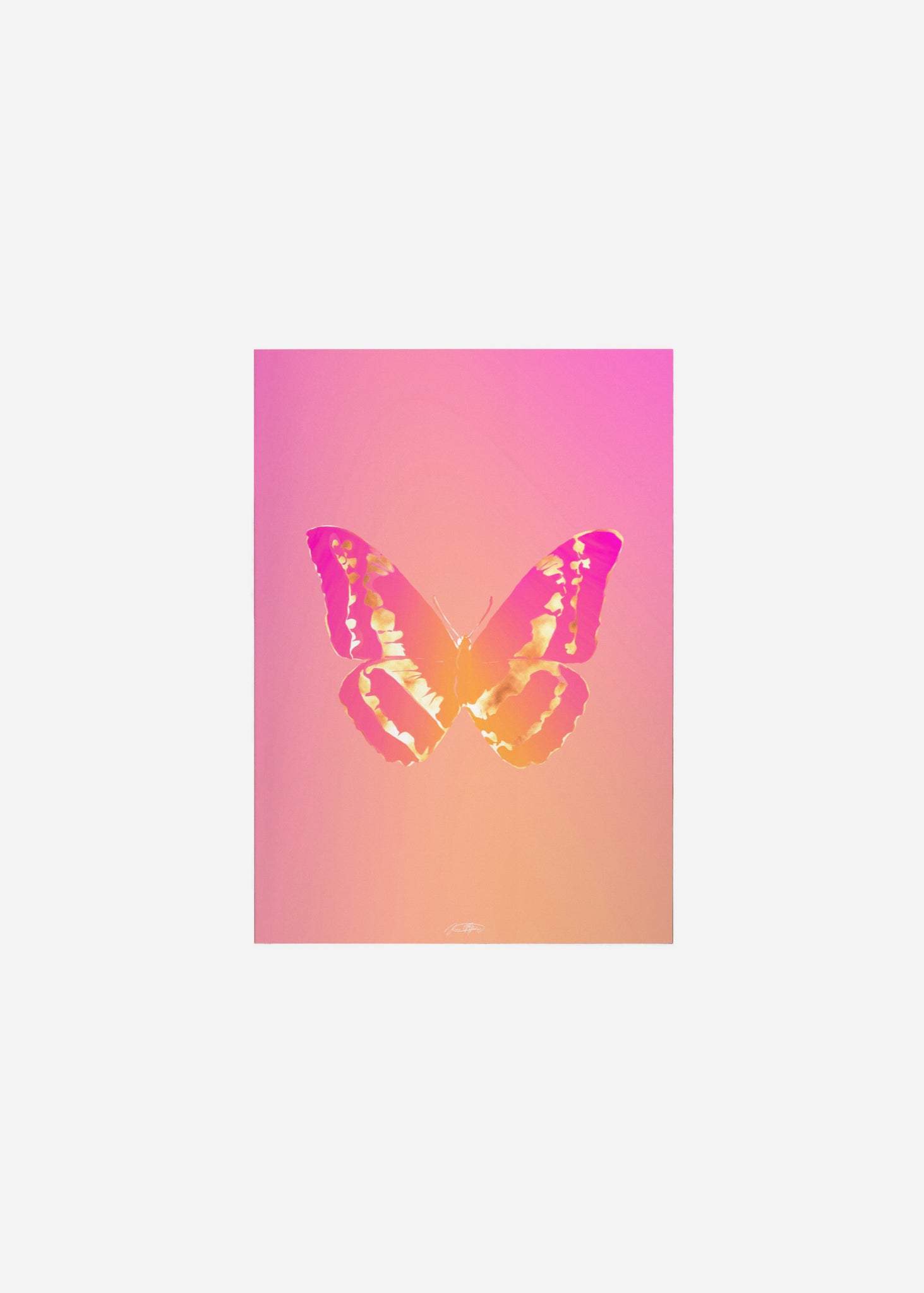 Butterflies / Psyche 059 Fine Art Print