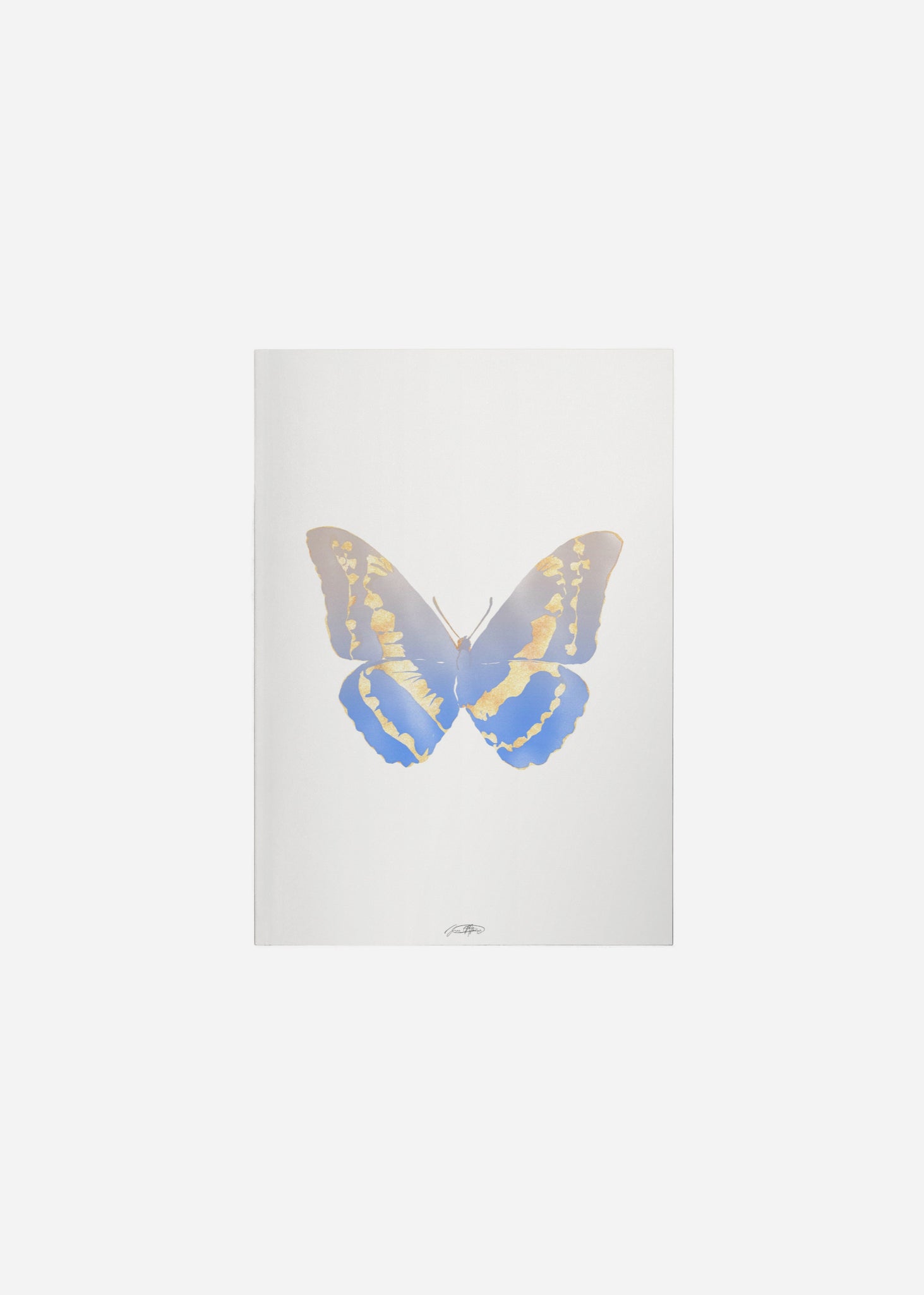 Butterflies / Psyche 063 Fine Art Print