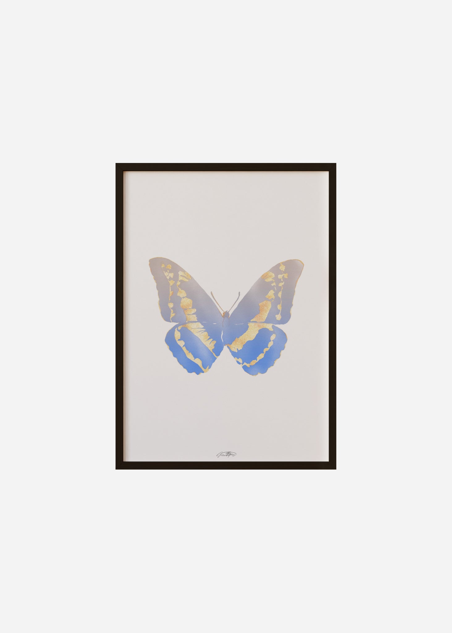 Butterflies / Psyche 063 Framed Print