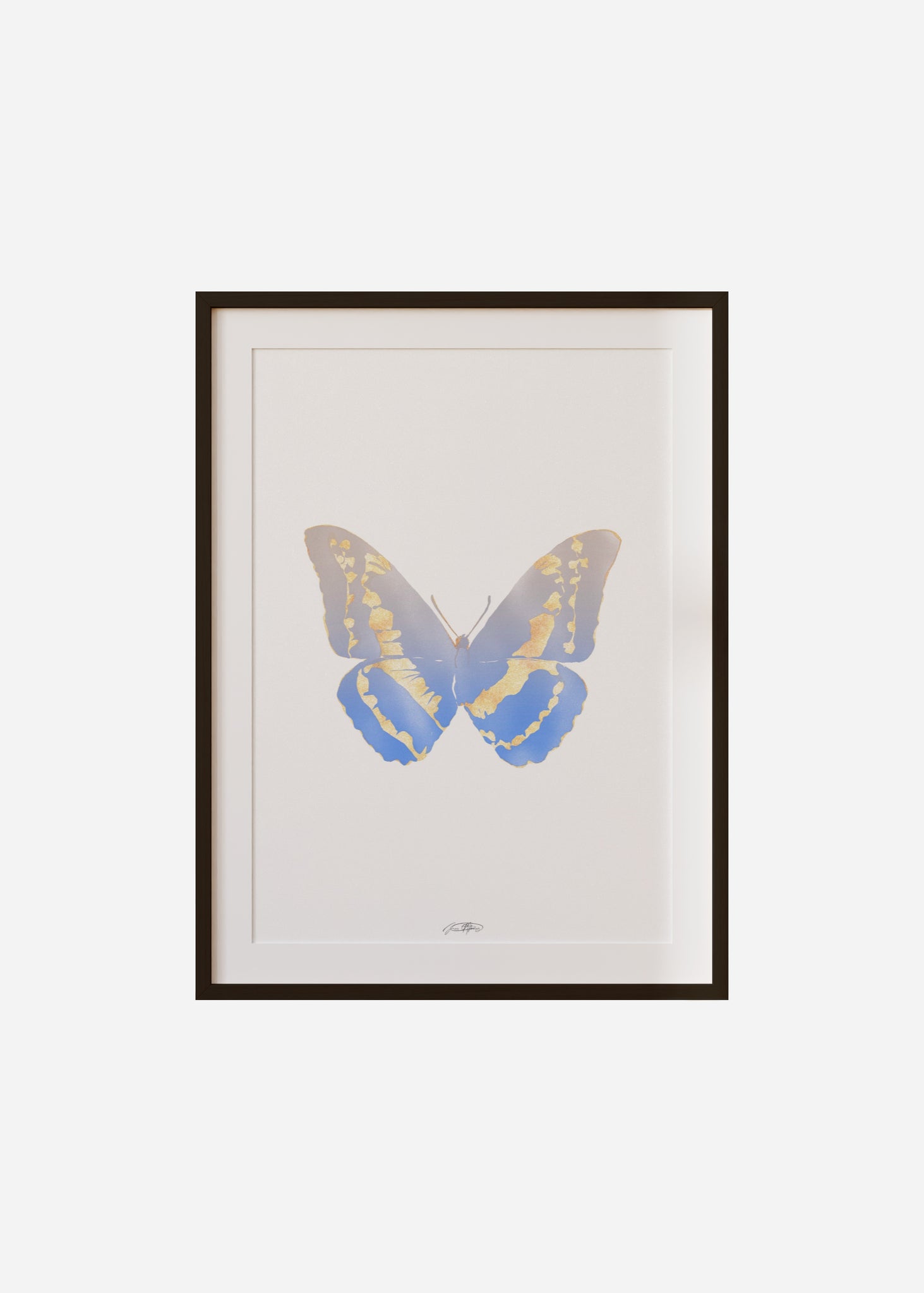 Butterflies / Psyche 063 Framed & Mounted Print