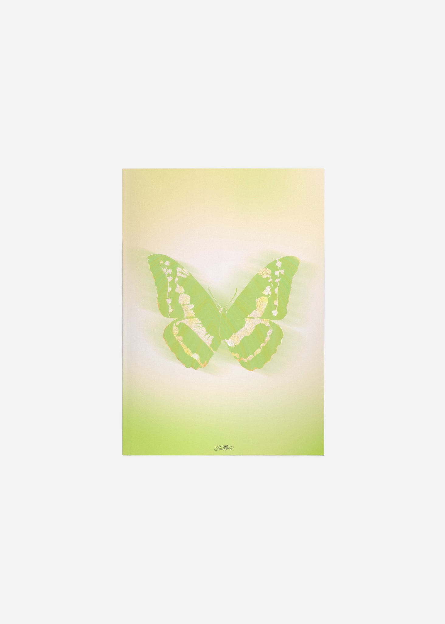 Butterflies / Psyche 066 Fine Art Print