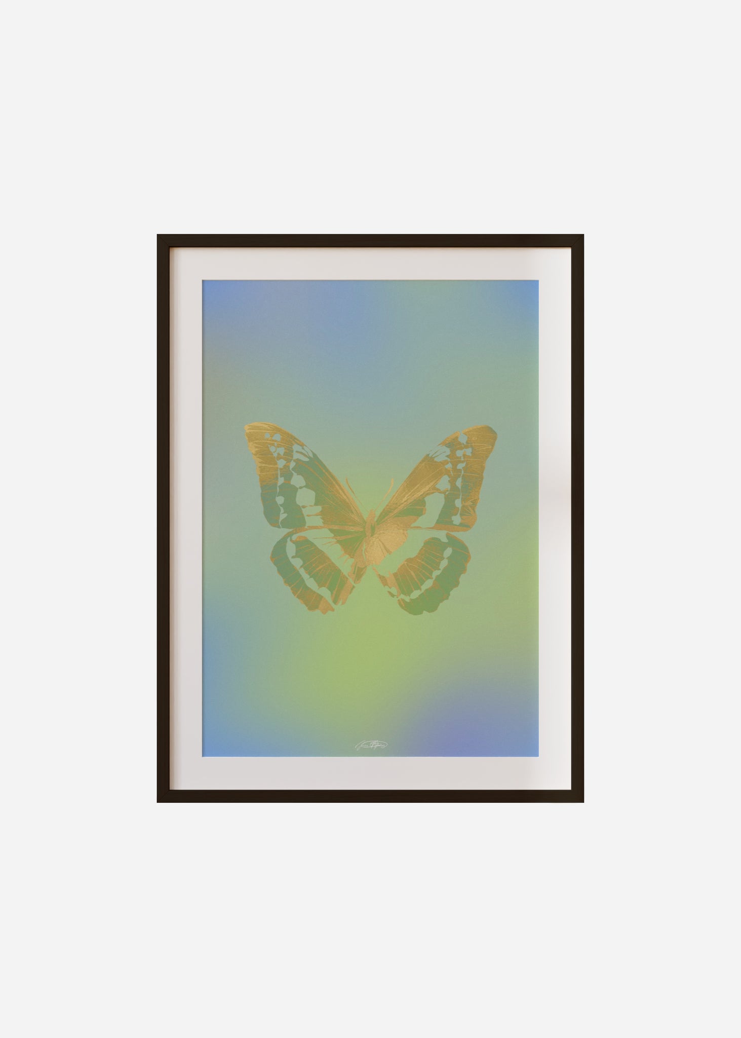 Butterflies / Psyche 068 Framed & Mounted Print