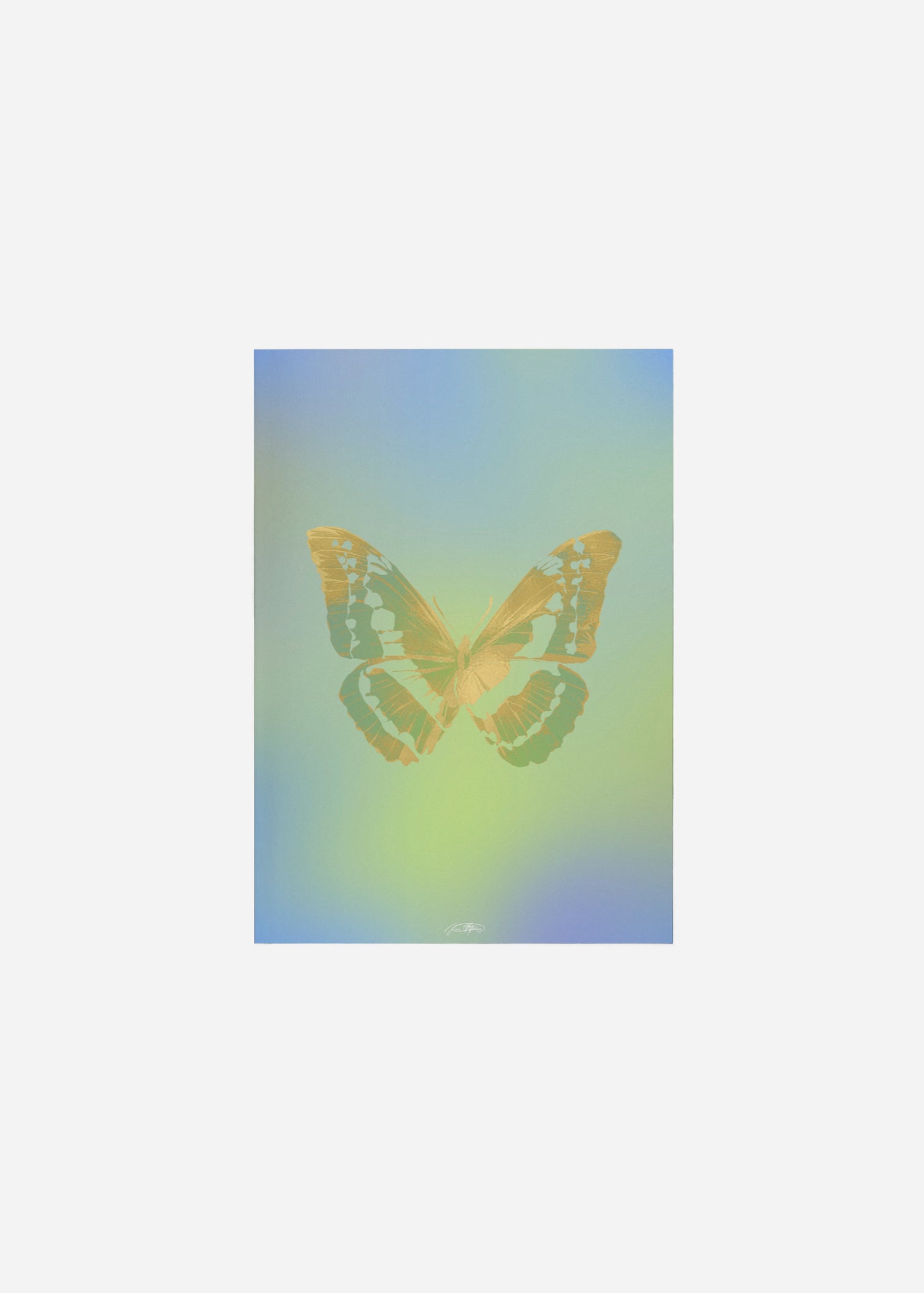 Butterflies / Psyche 068 Fine Art Print