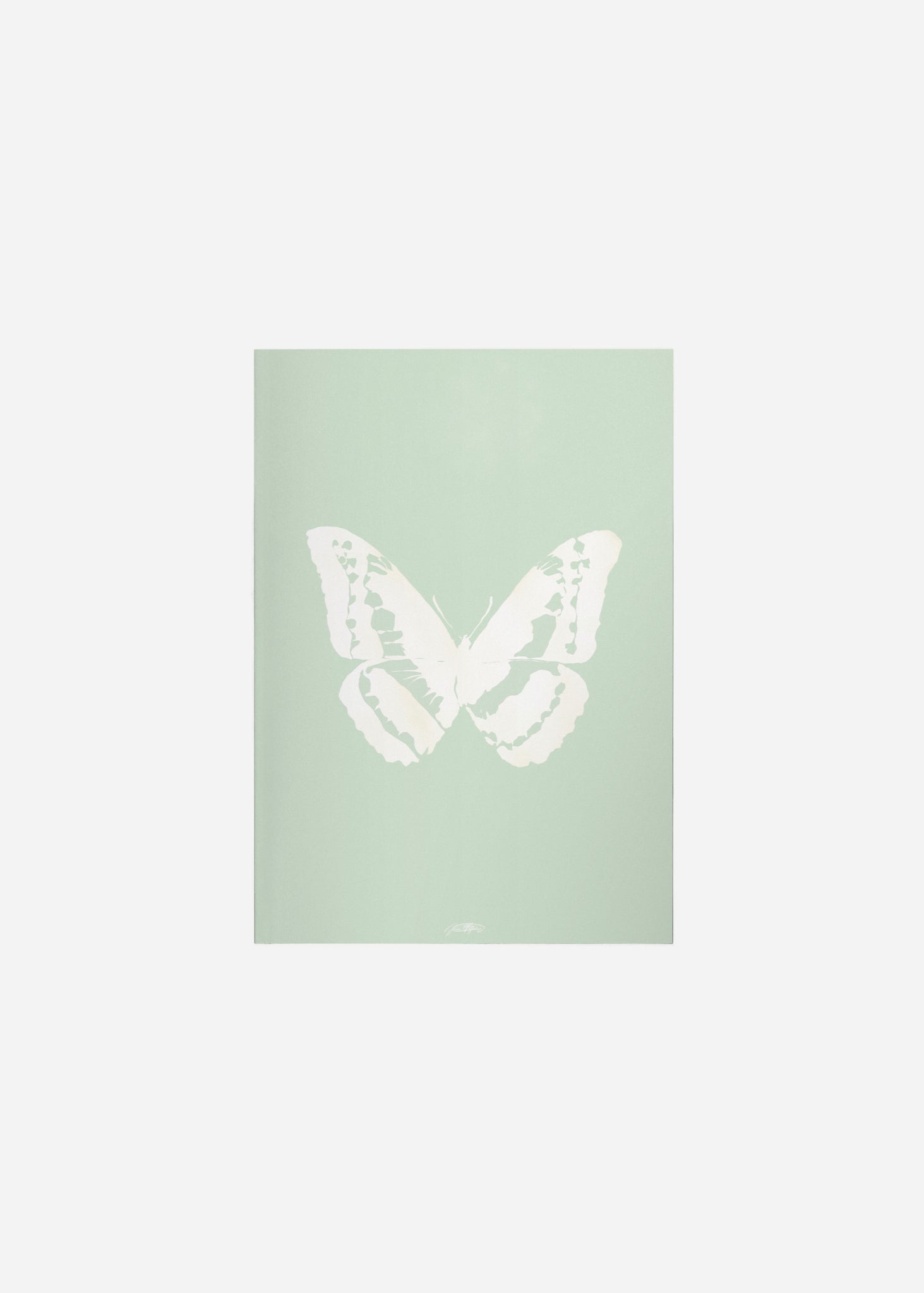 Butterflies / Psyche 006 Fine Art Print
