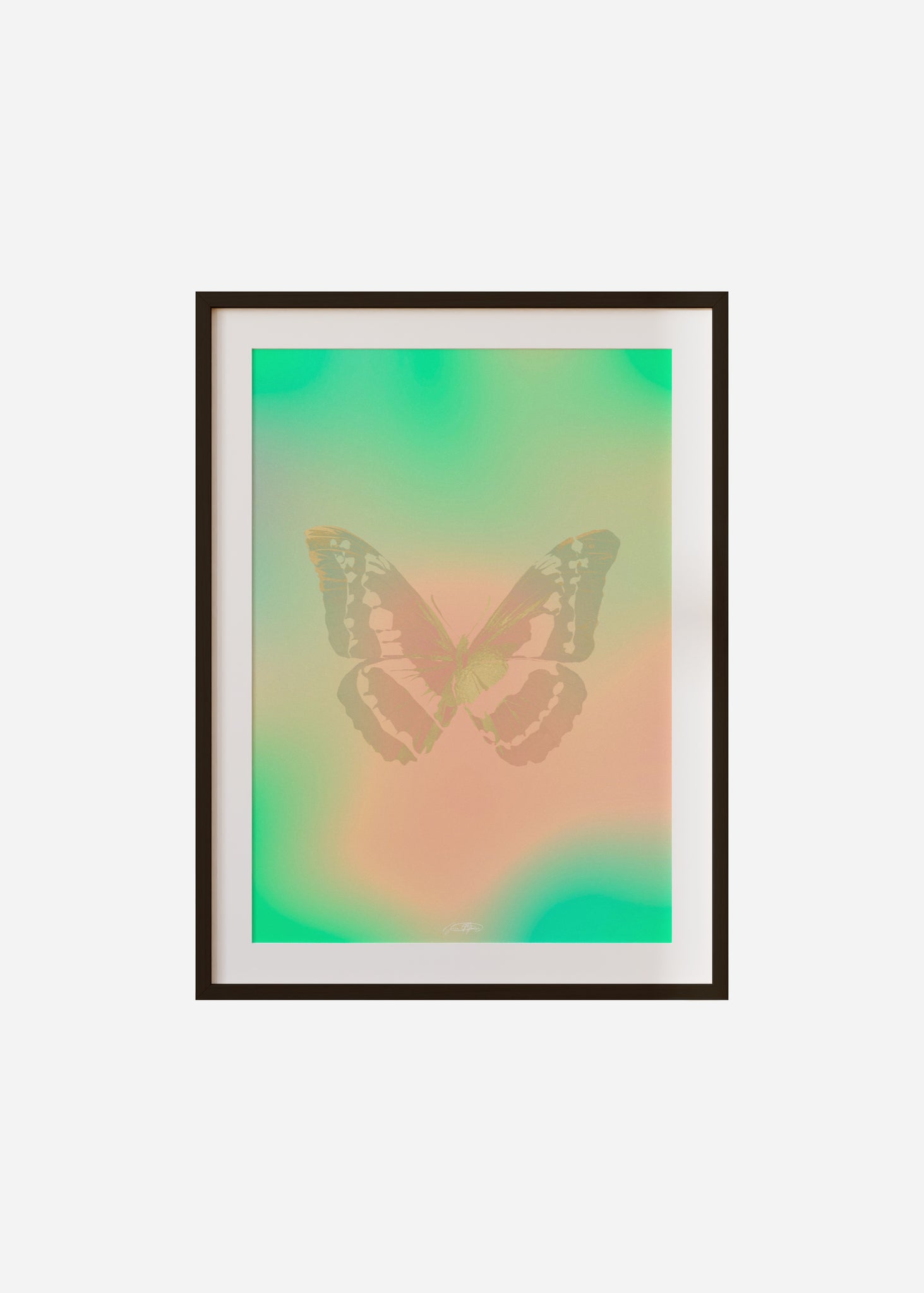 Butterflies / Psyche 072 Framed & Mounted Print