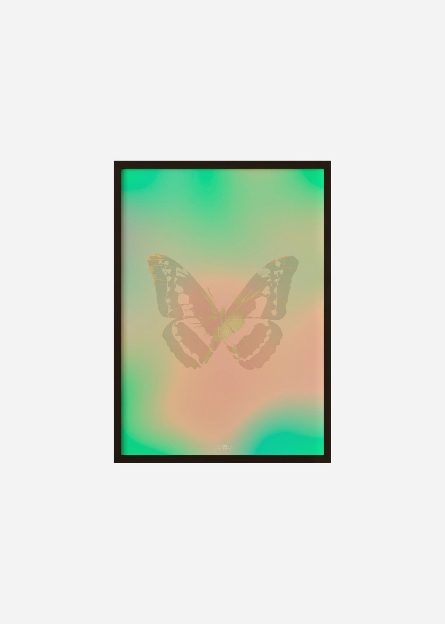 Butterflies / Psyche 072 Framed Print