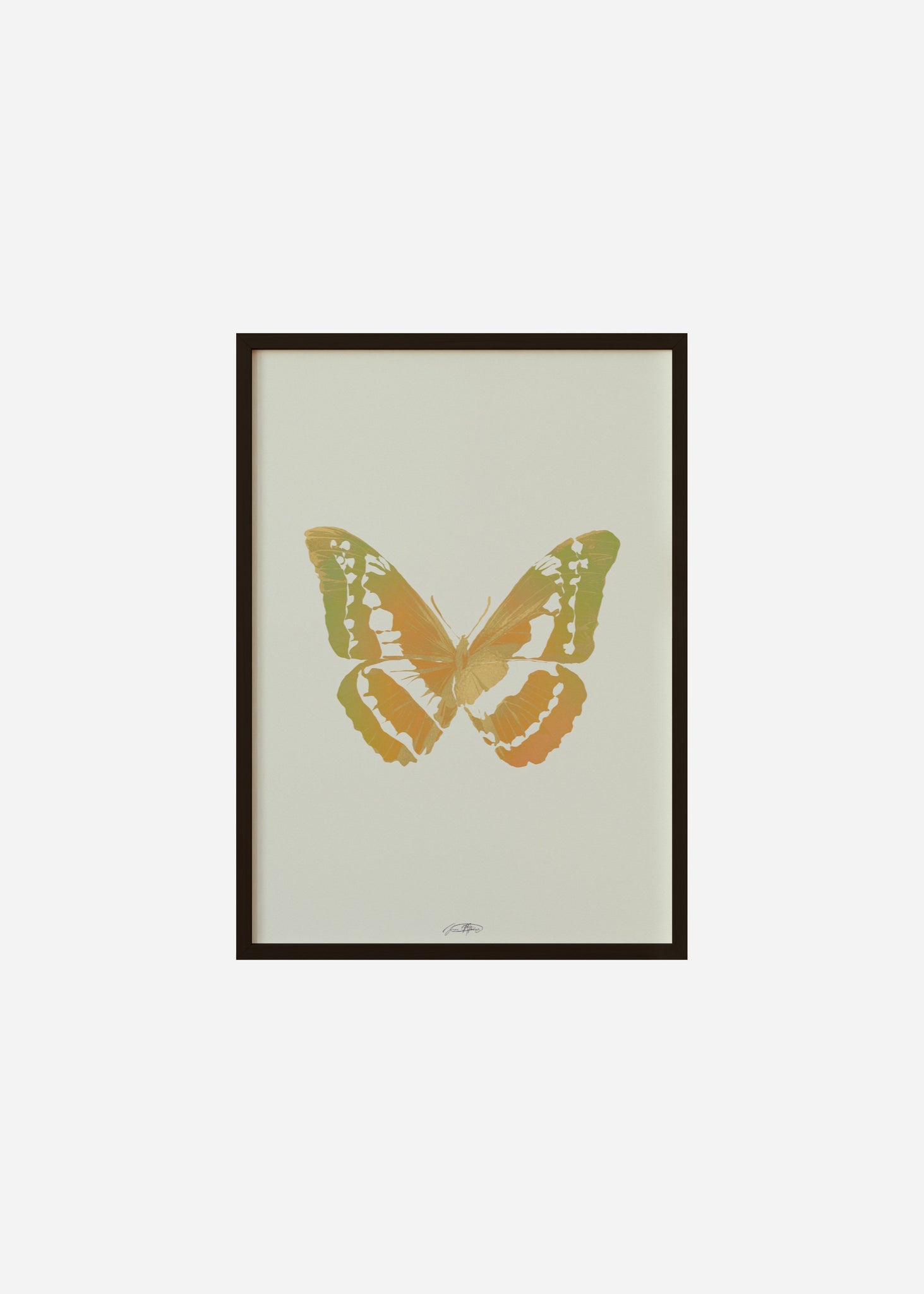 Butterflies / Psyche 073 Framed Print