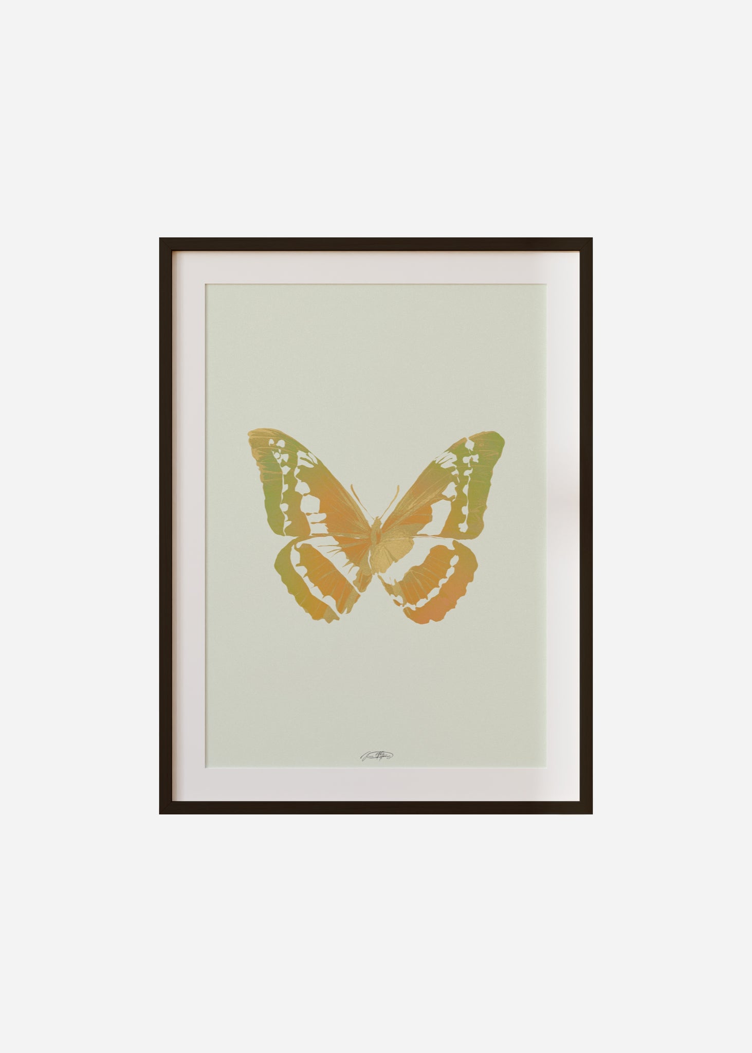 Butterflies / Psyche 073 Framed & Mounted Print