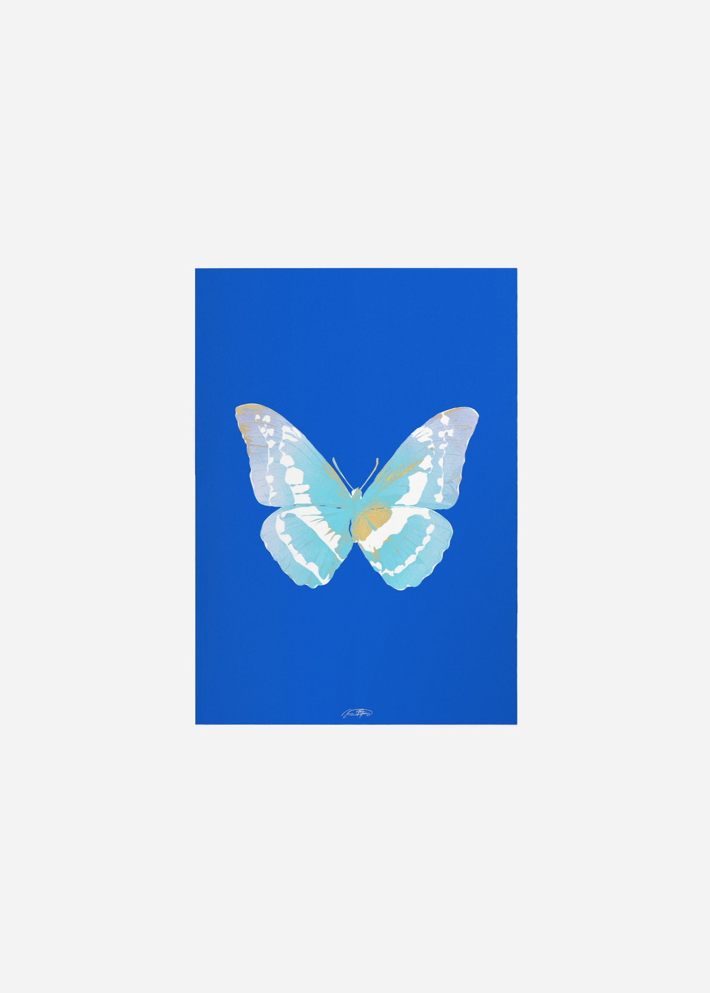 Butterflies / Psyche 077 Fine Art Print
