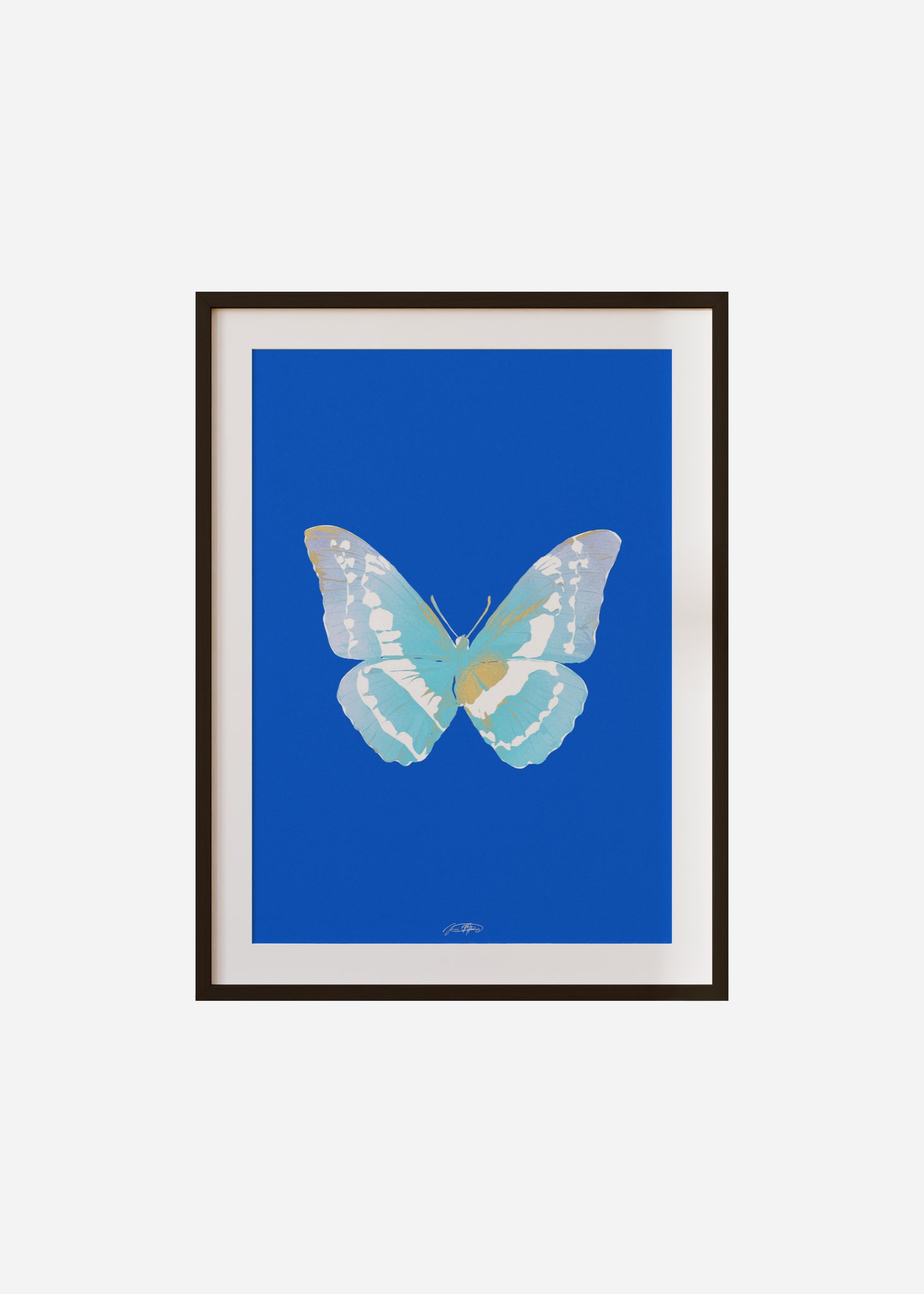 Butterflies / Psyche 077 Framed & Mounted Print