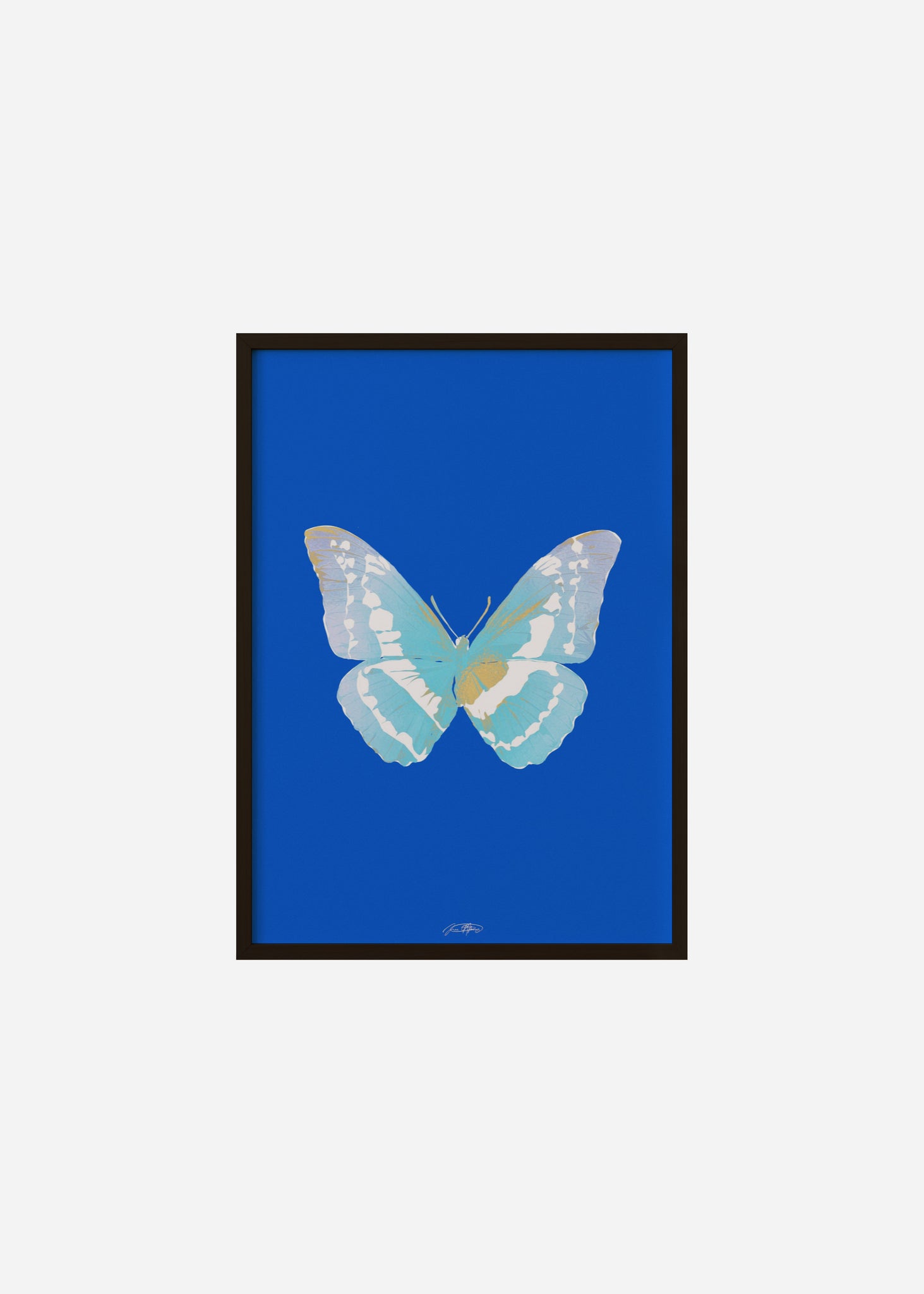 Butterflies / Psyche 077 Framed Print