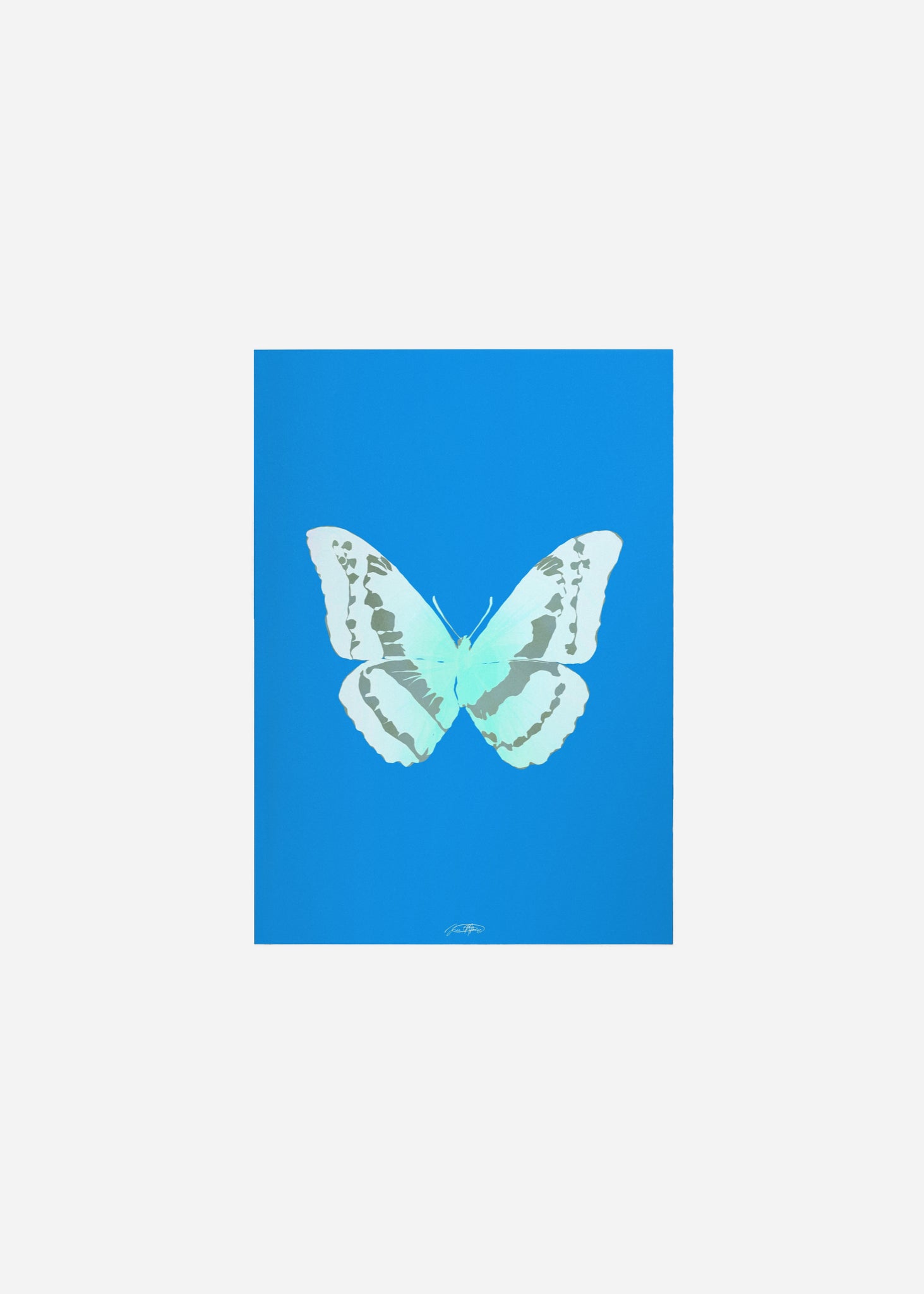 Butterflies / Psyche 078 Fine Art Print