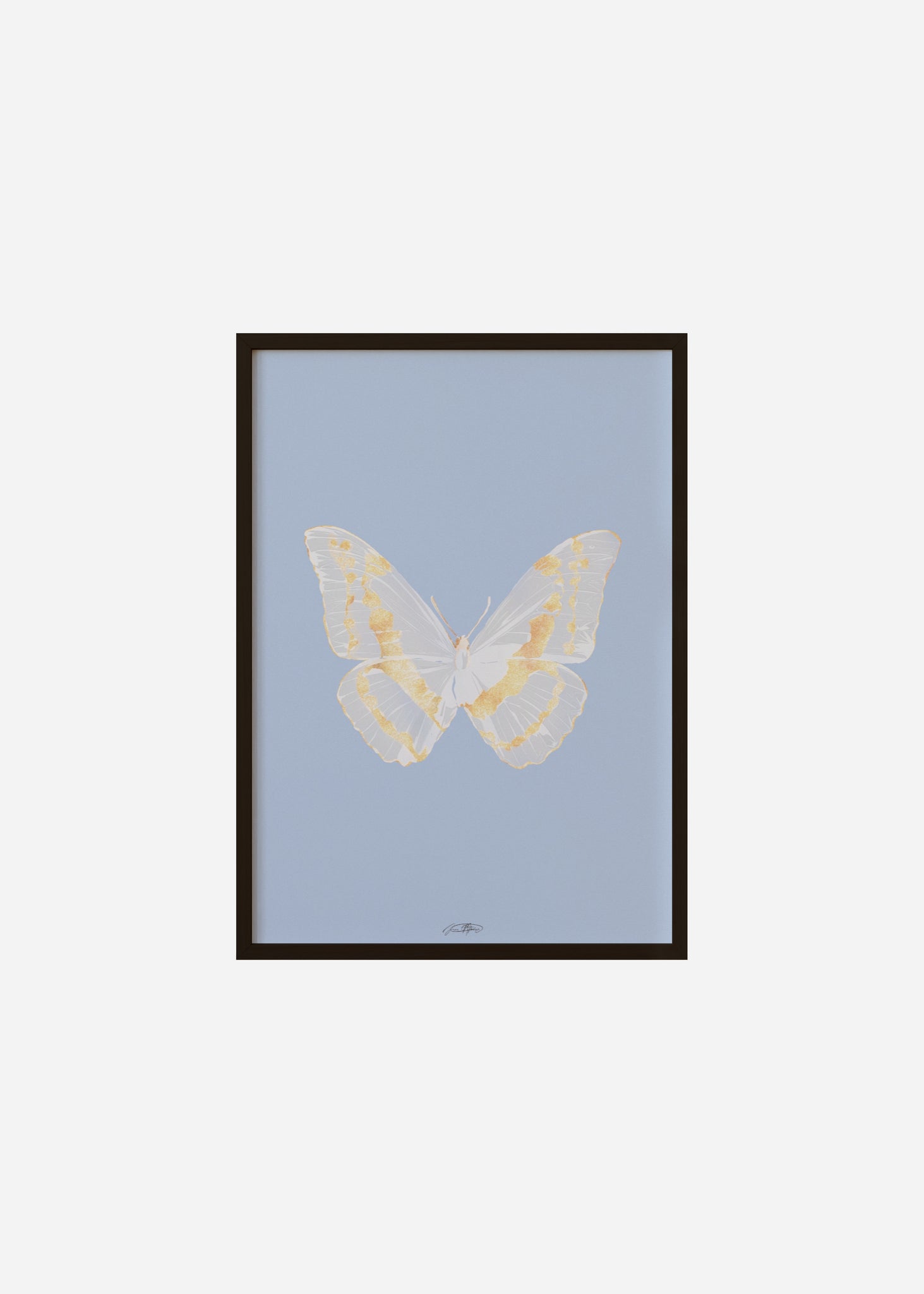 Butterflies / Psyche 079 Framed Print