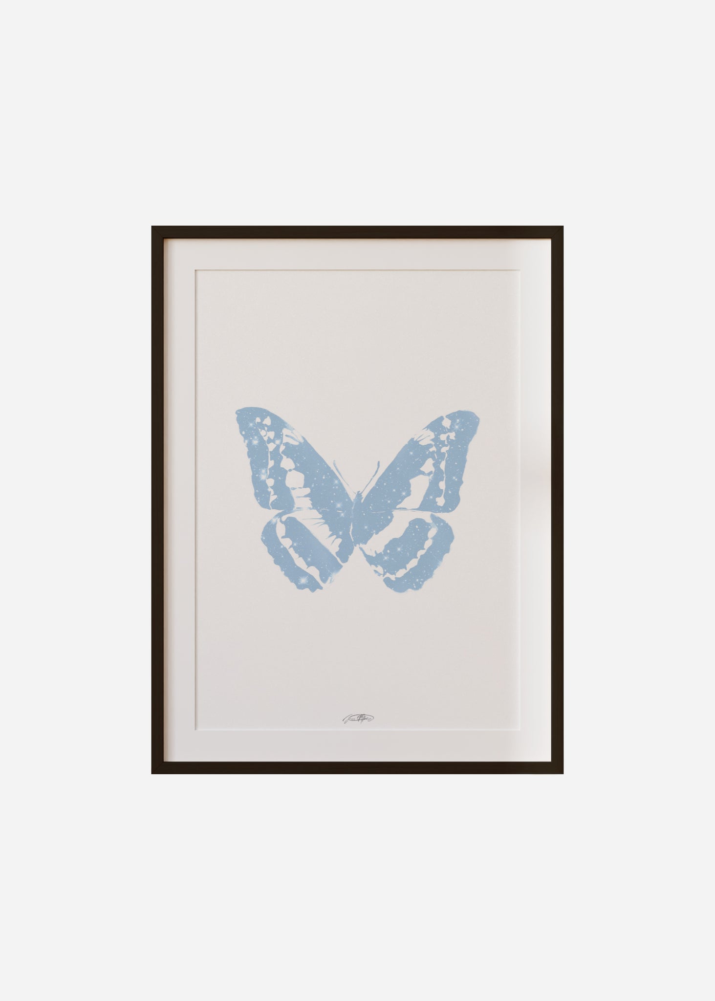 Butterflies / Psyche 007 Framed & Mounted Print