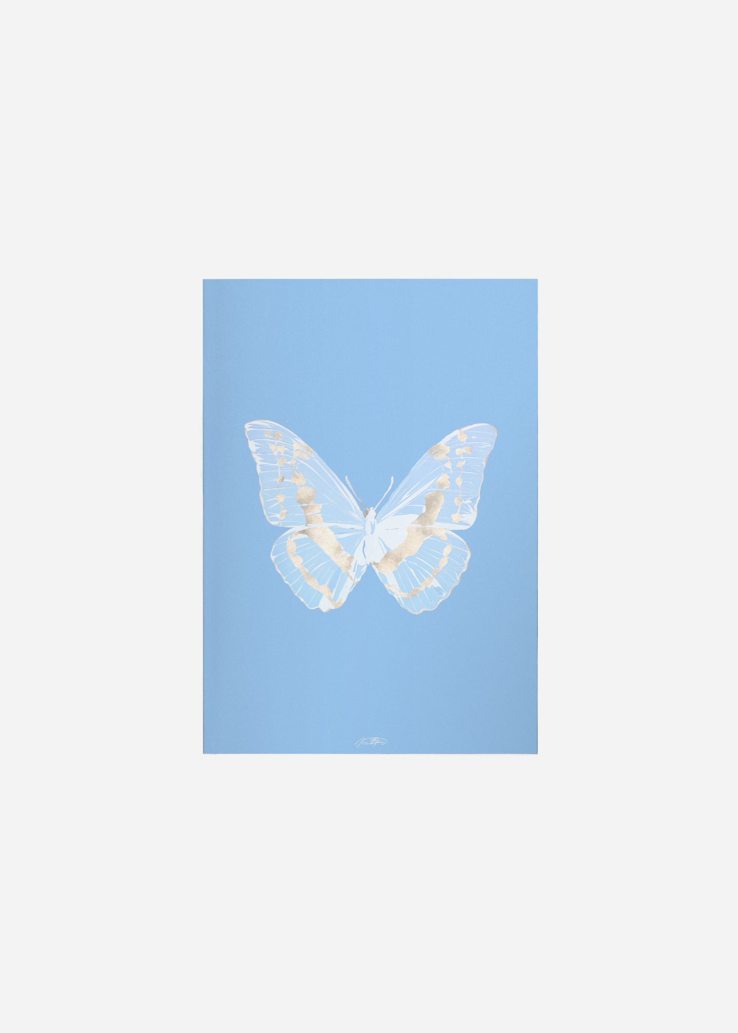 Butterflies / Psyche 080 Fine Art Print