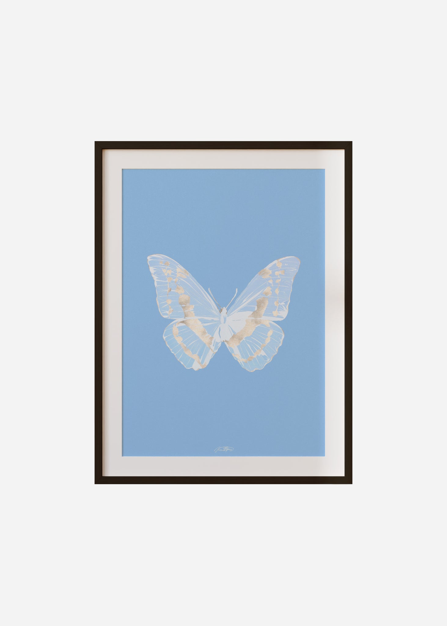 Butterflies / Psyche 080 Framed & Mounted Print