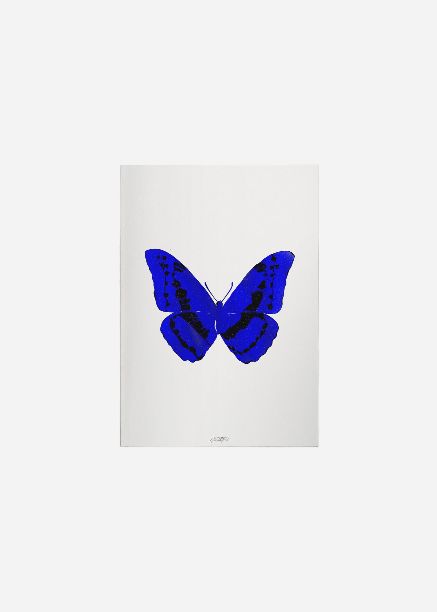 Butterflies / Psyche 096 Fine Art Print