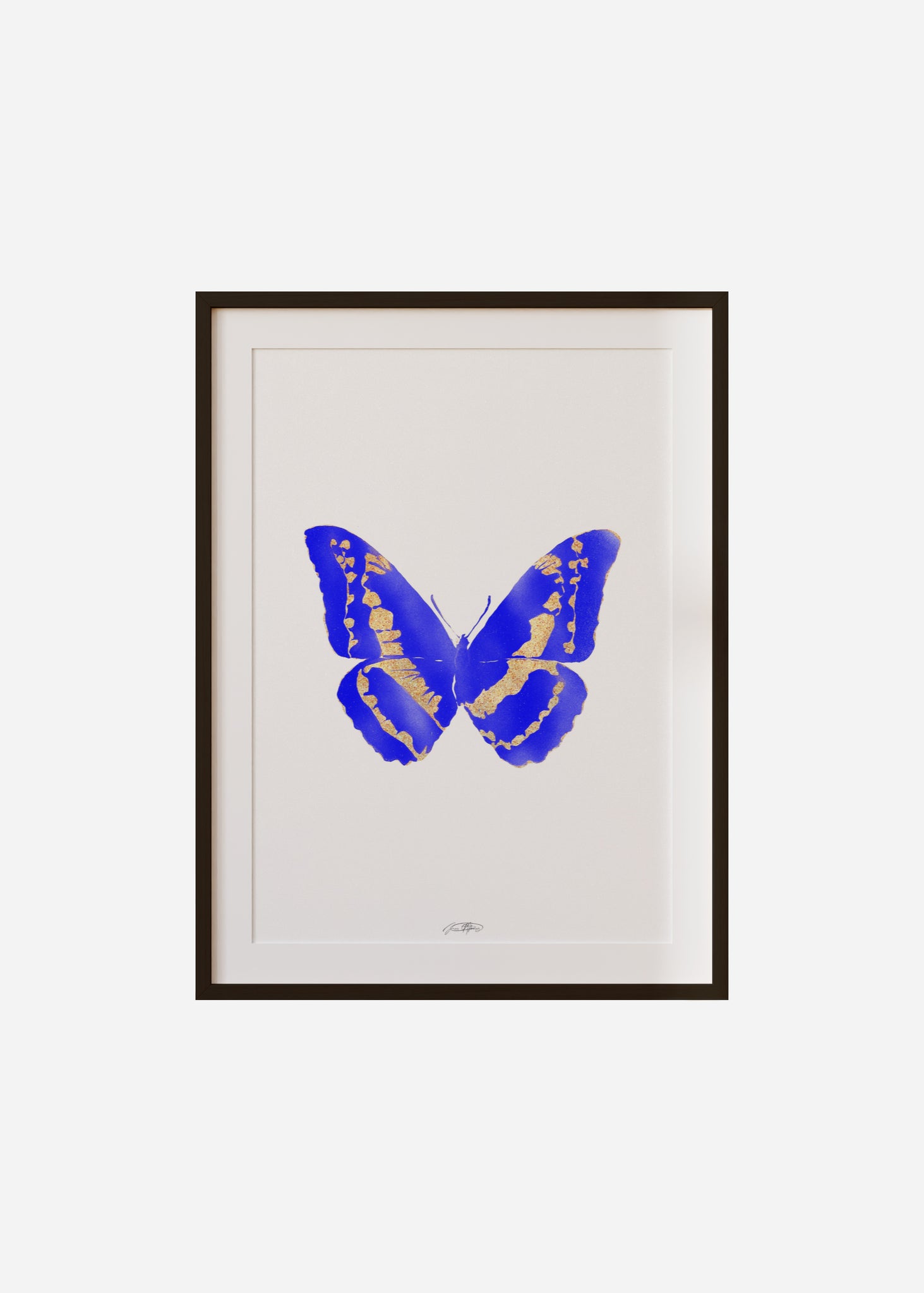 Butterflies / Psyche 098 Framed & Mounted Print